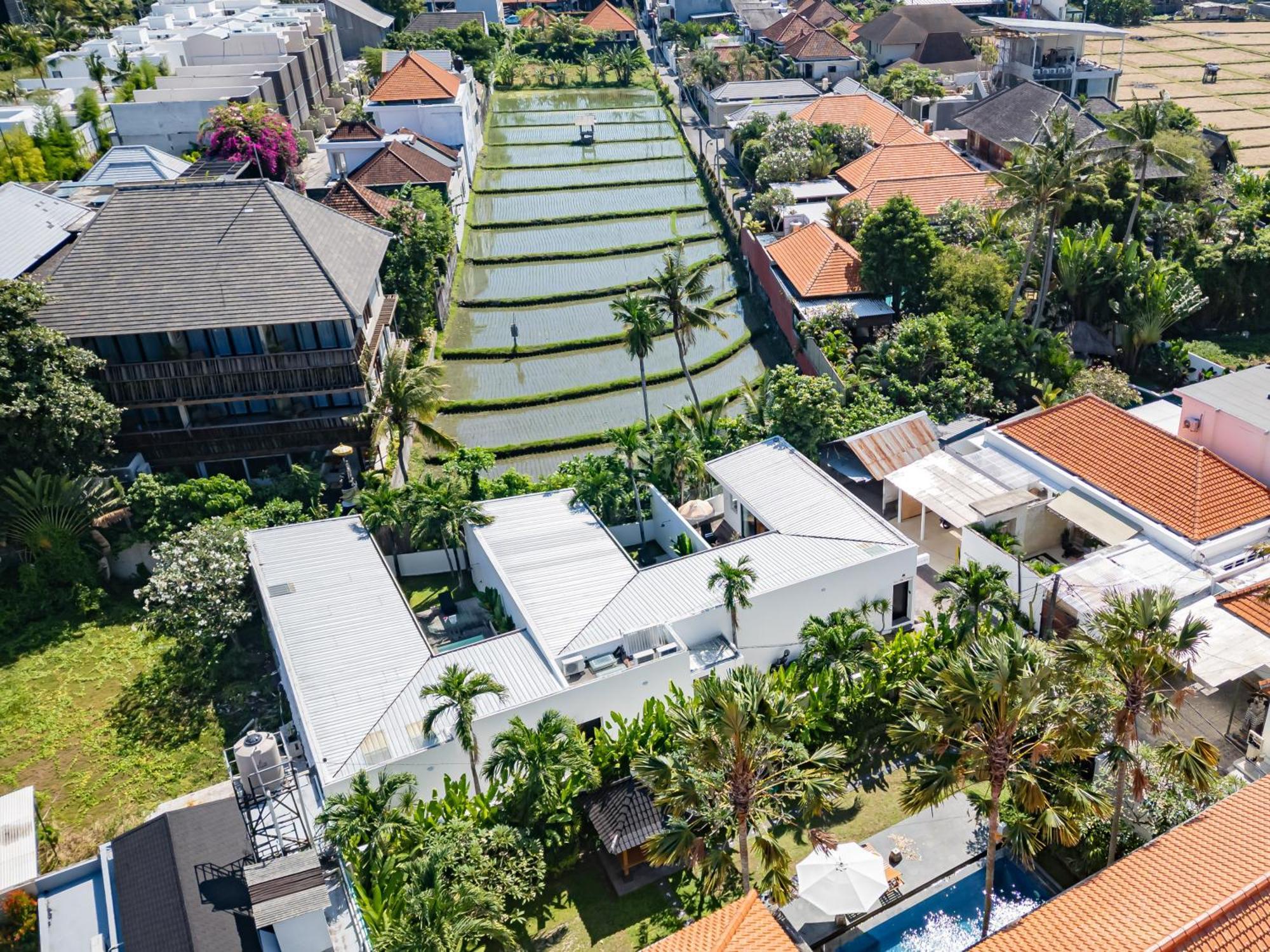 Secluded 1br Pool With Ricefield View In Berawa, 5mins Ride To