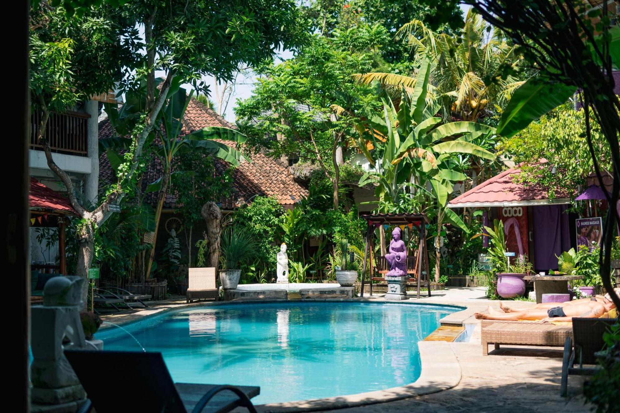 Serenity Eco - Chse Certified Guest house