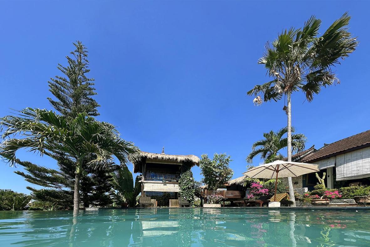 Anjing Nusa Dua (Bali)