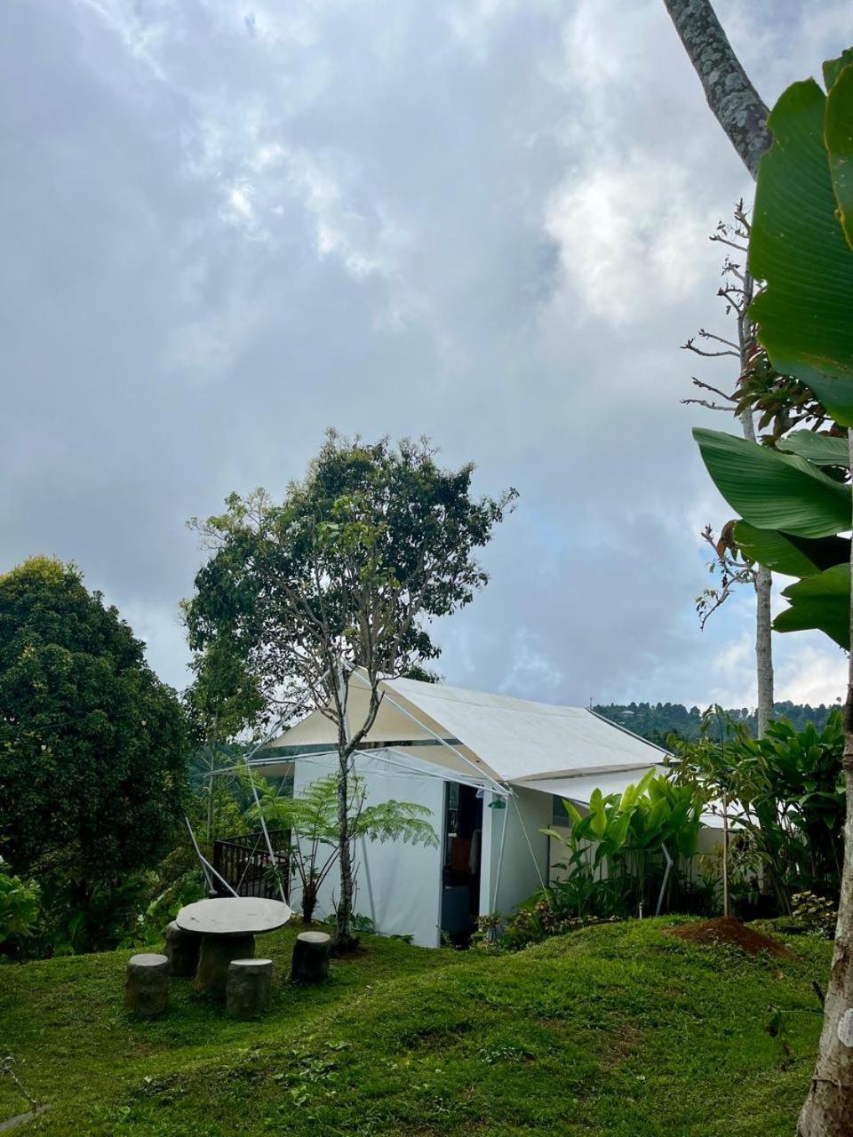 Harsa Eco Luxury Camp * Gobleg (Bali)