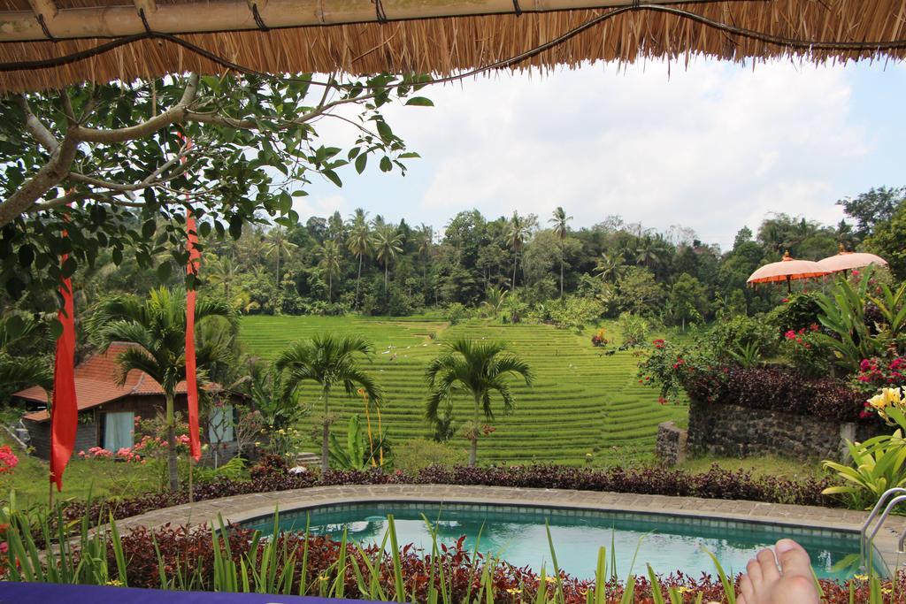 Bali Lush Bed & Breakfast Selemadeg (Bali)