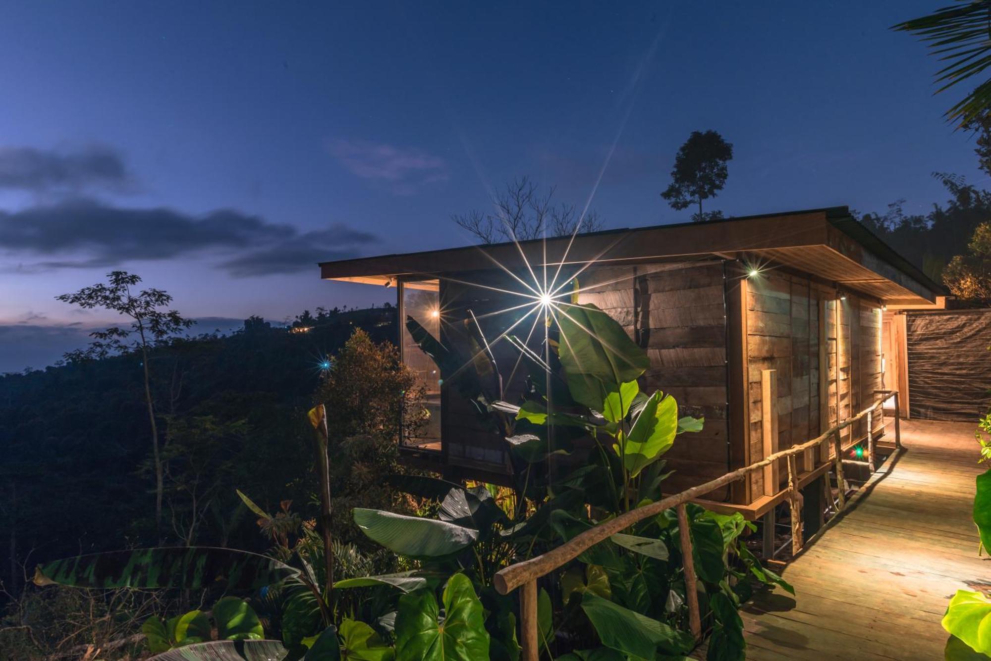 Kayukopi Munduk (Bali)