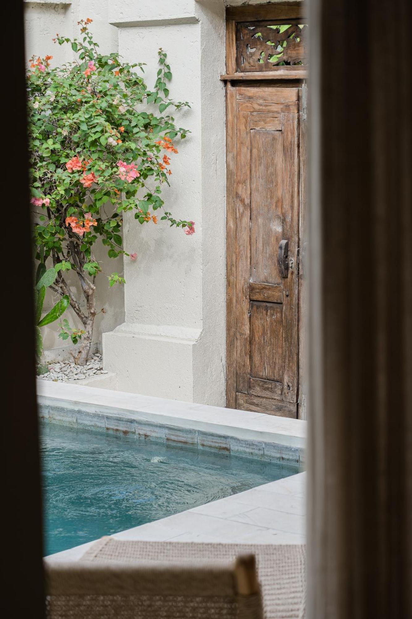 Joonam - Free Gym, Wellness And Recovery By Bali Social Club Villa