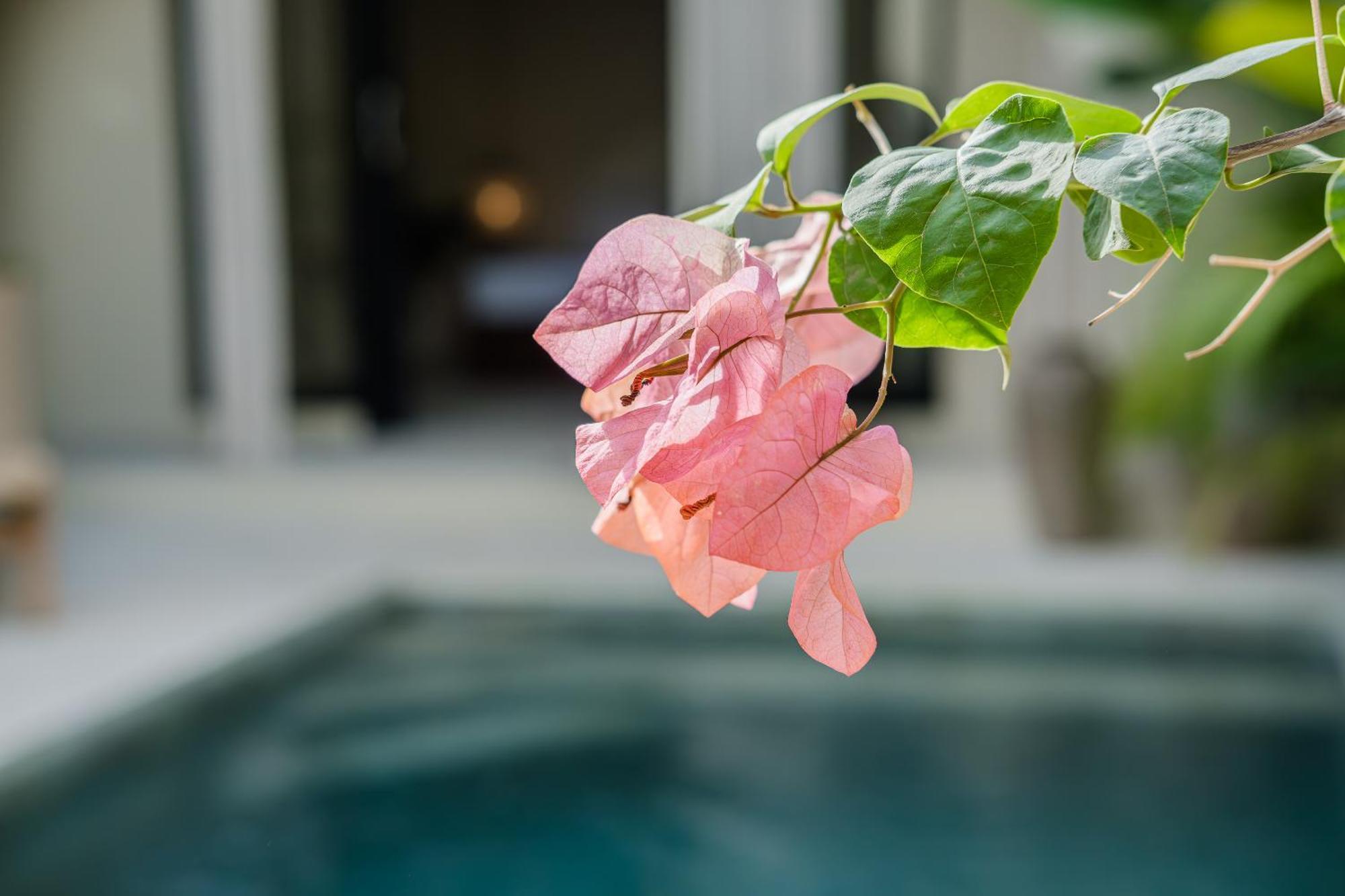 Villa Joonam - Free Gym, Wellness And Recovery By Bali Social Club *
