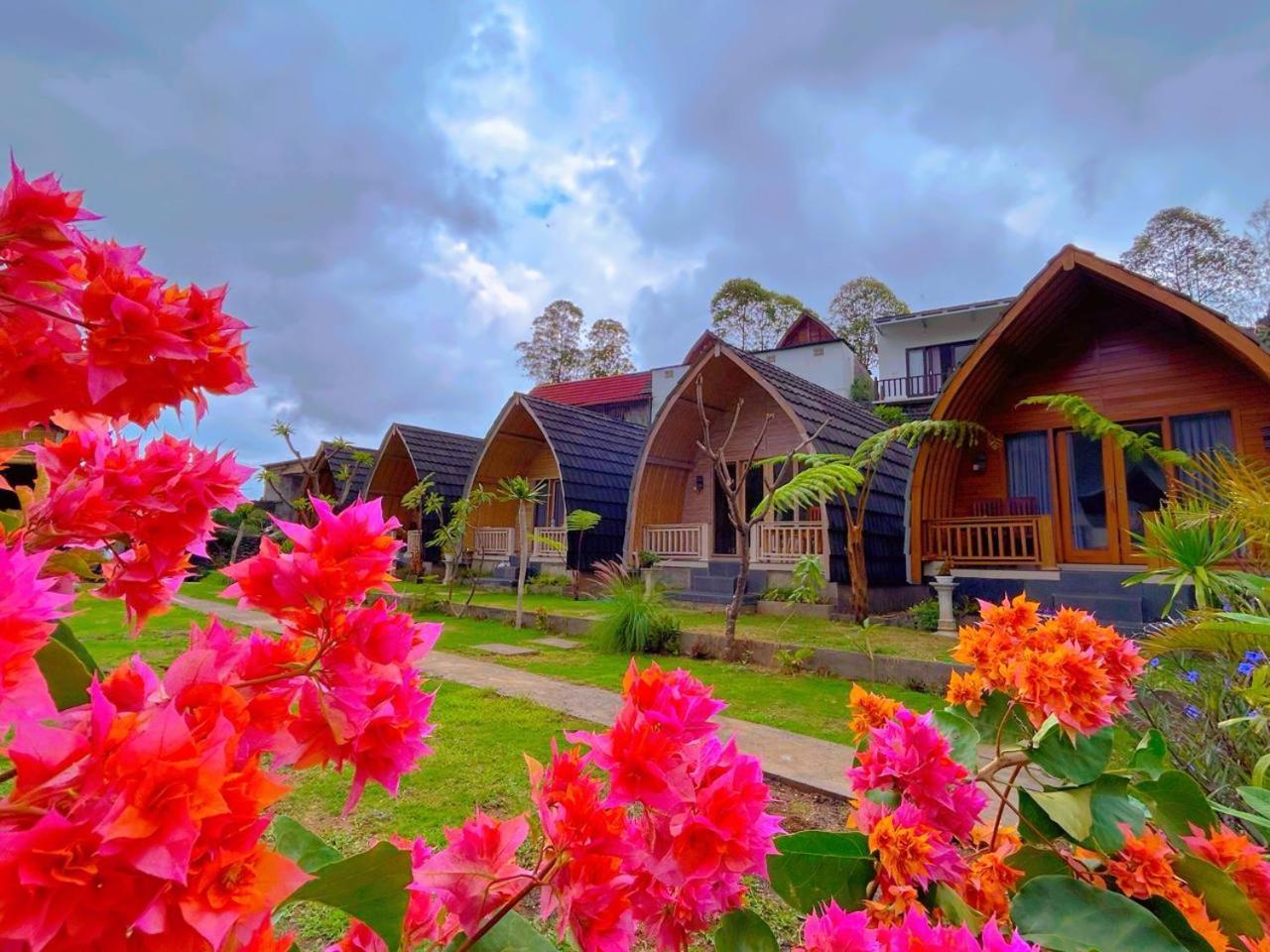 Bali Volcano Guest house Kubupenlokan