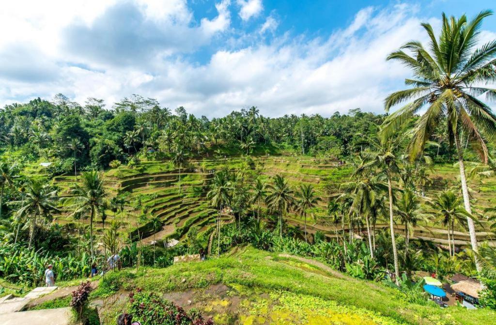 Alam Sari Keliki &