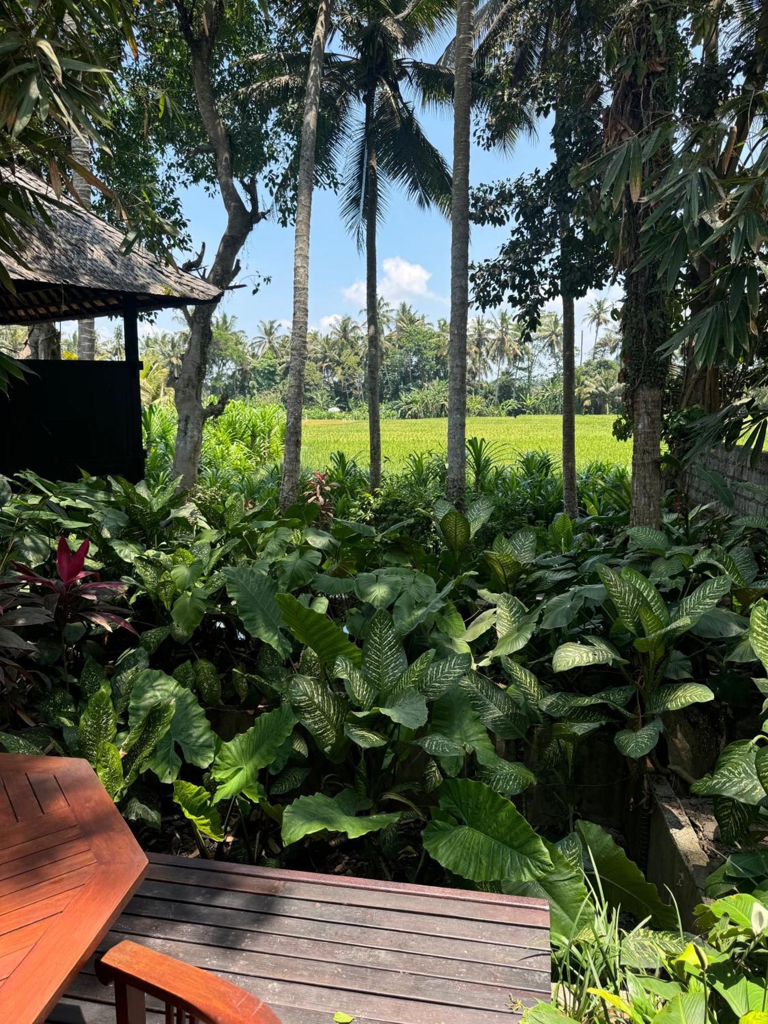 Pantulan Bali