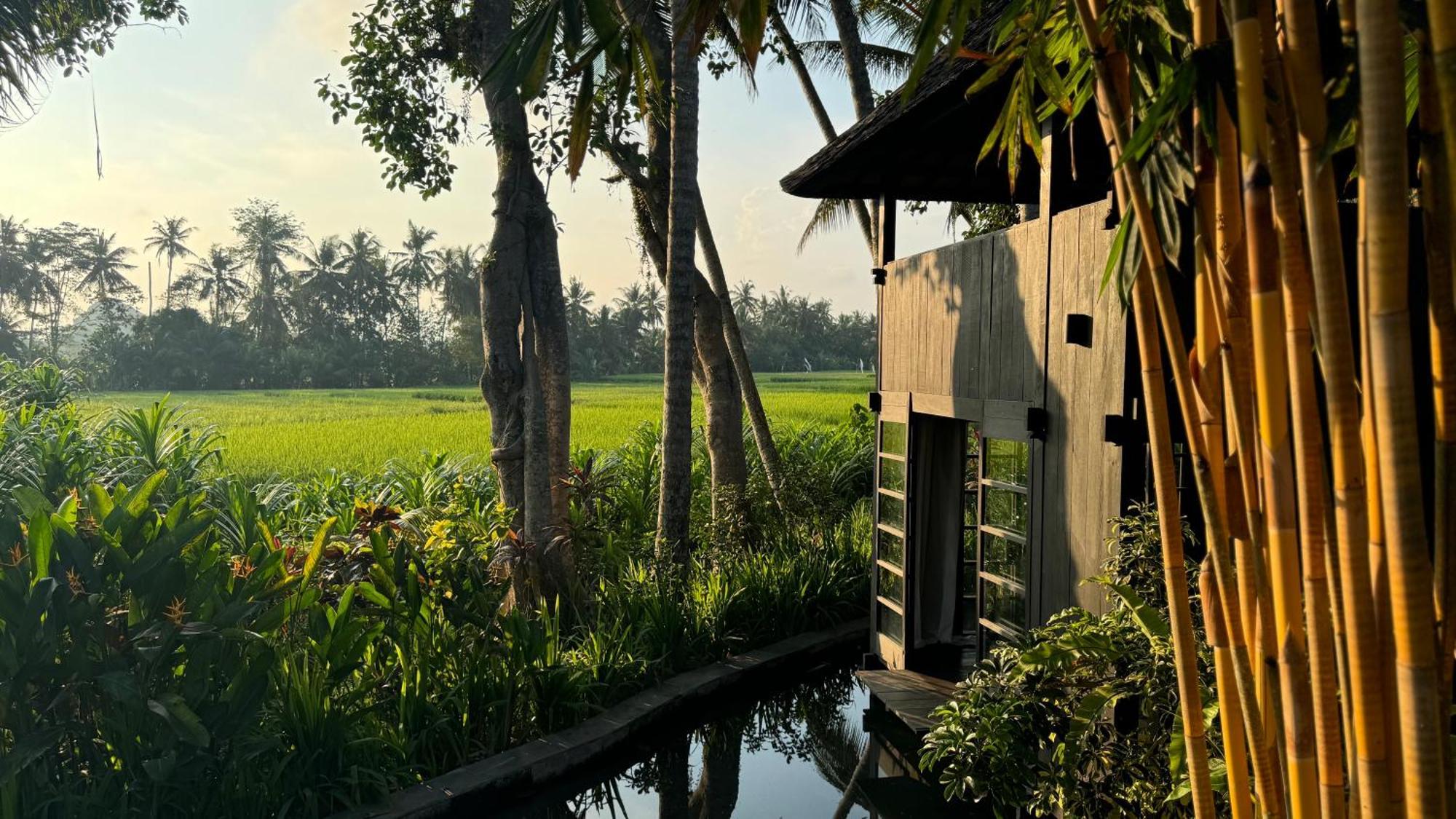 Pantulan Bali * Pagetan