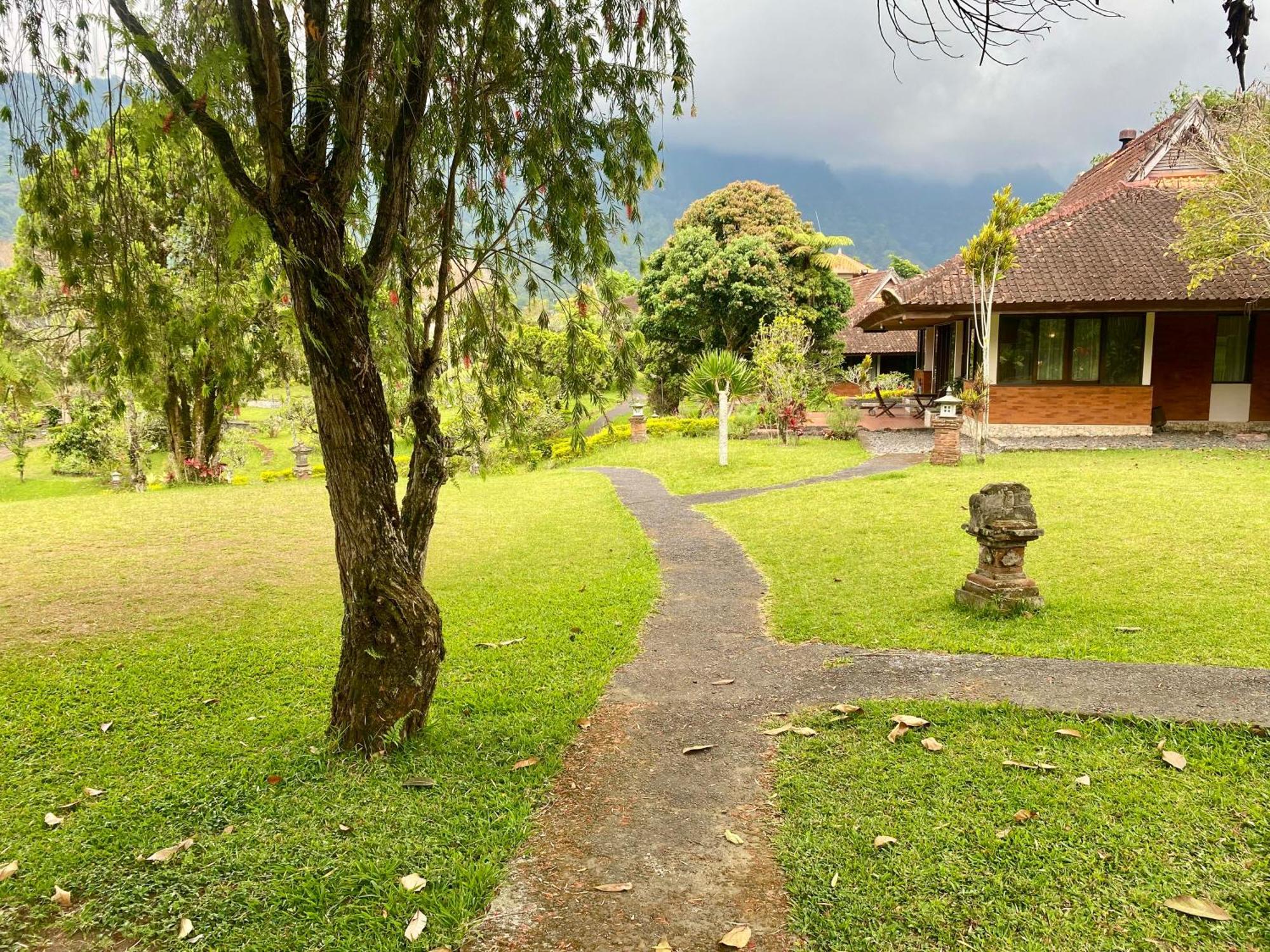 The Buyan Bedugul *