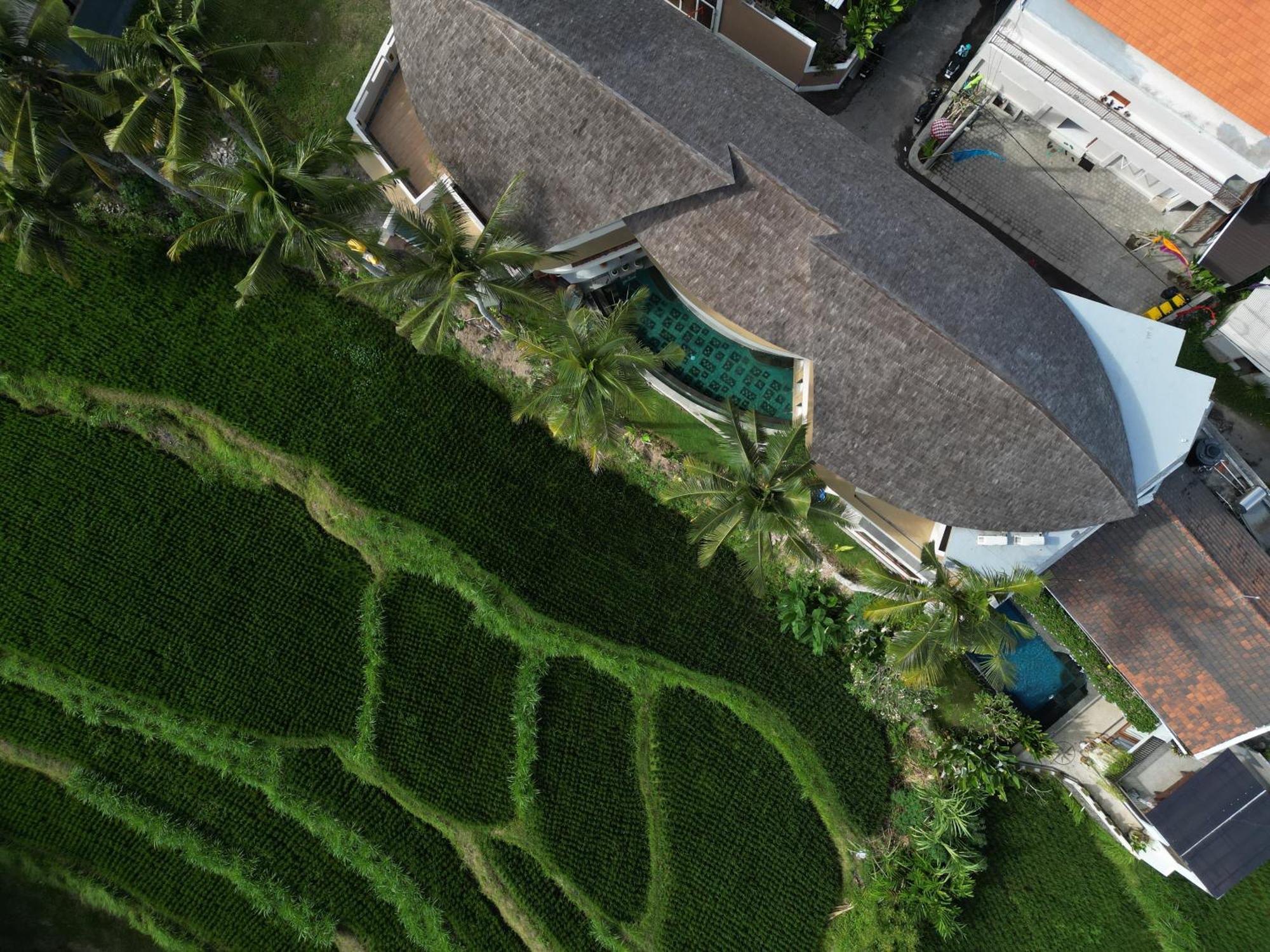 The Bodhi Leaf Wellness Bed & Breakfast