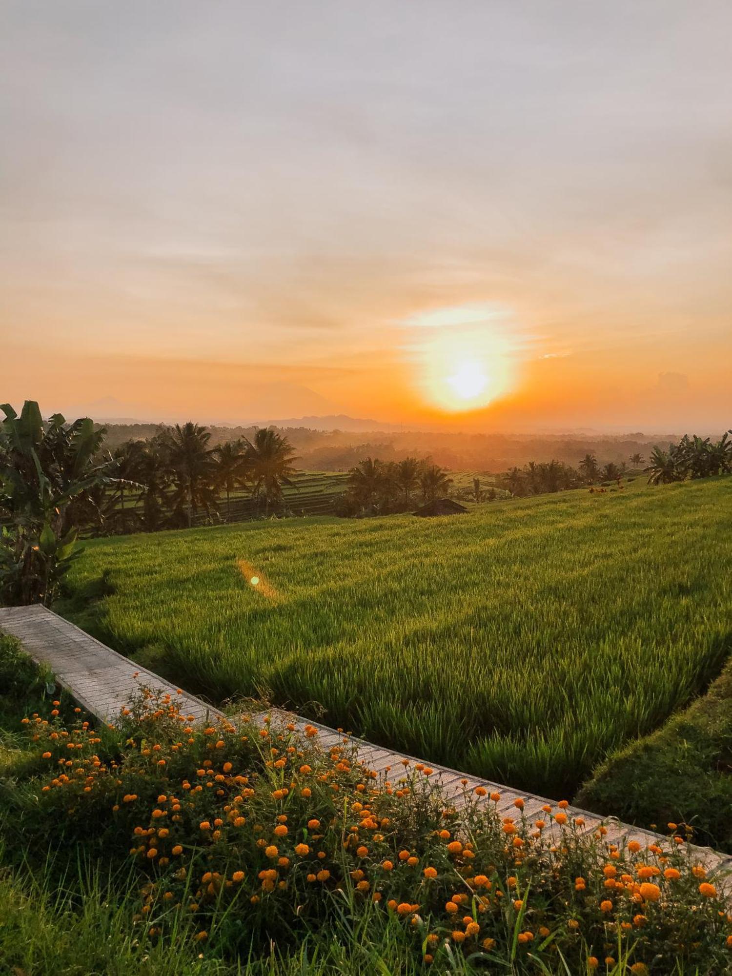 Bed & Breakfast Bhuana Agung And Restaurant Jatiluwih