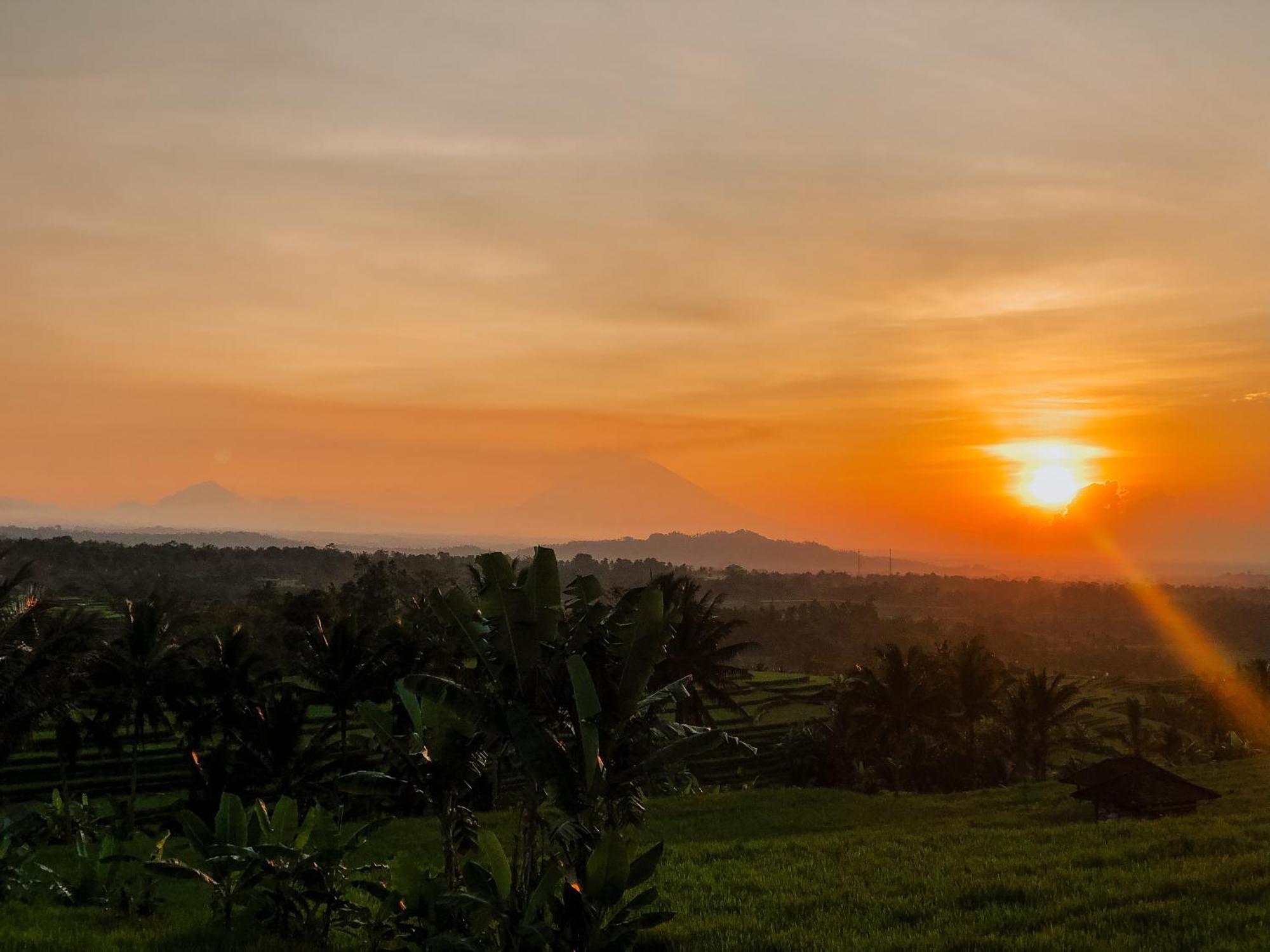 Bhuana Agung And Restaurant Jatiluwih