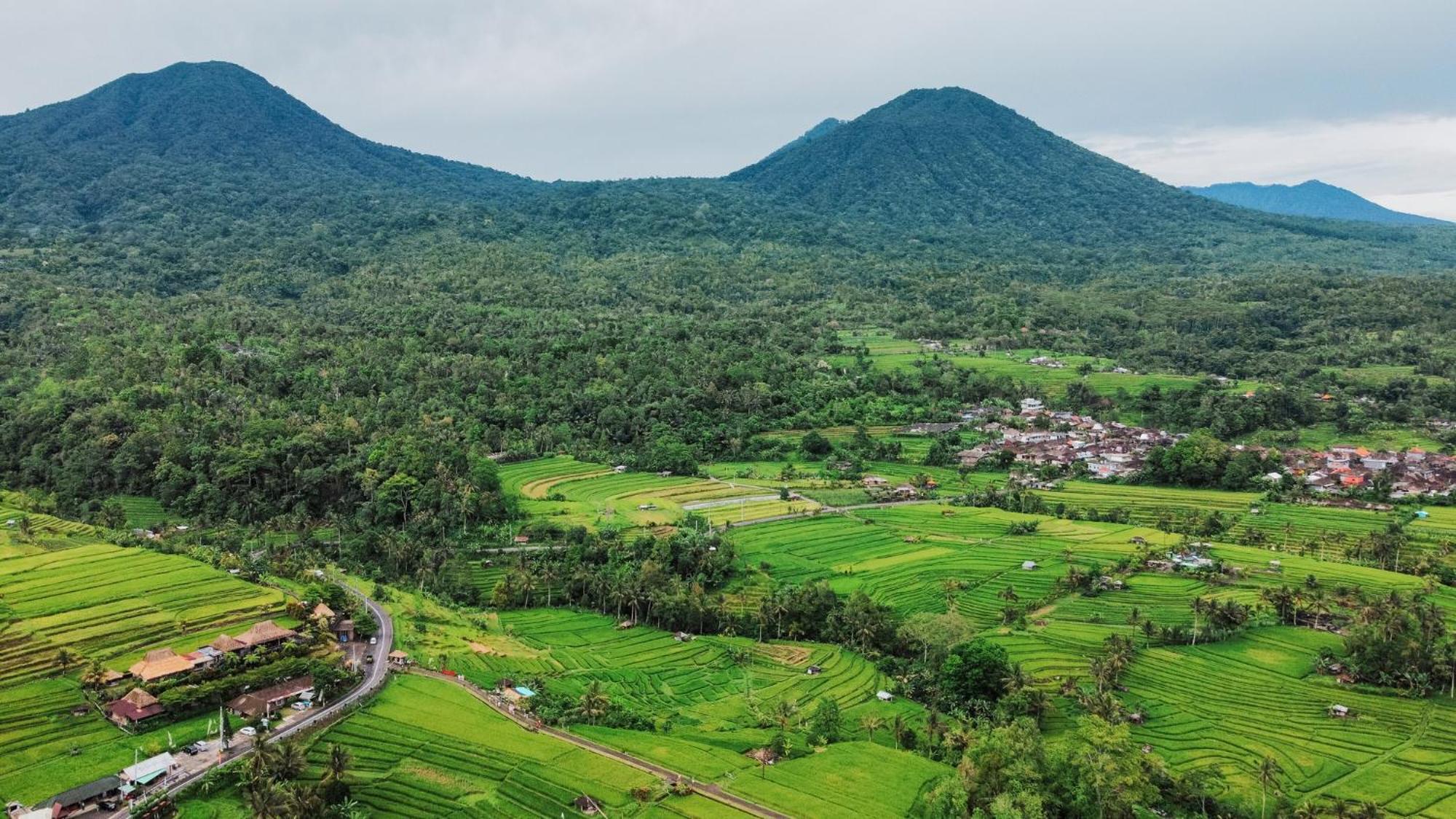 Bhuana Agung And Restaurant Bed & Breakfast Jatiluwih
