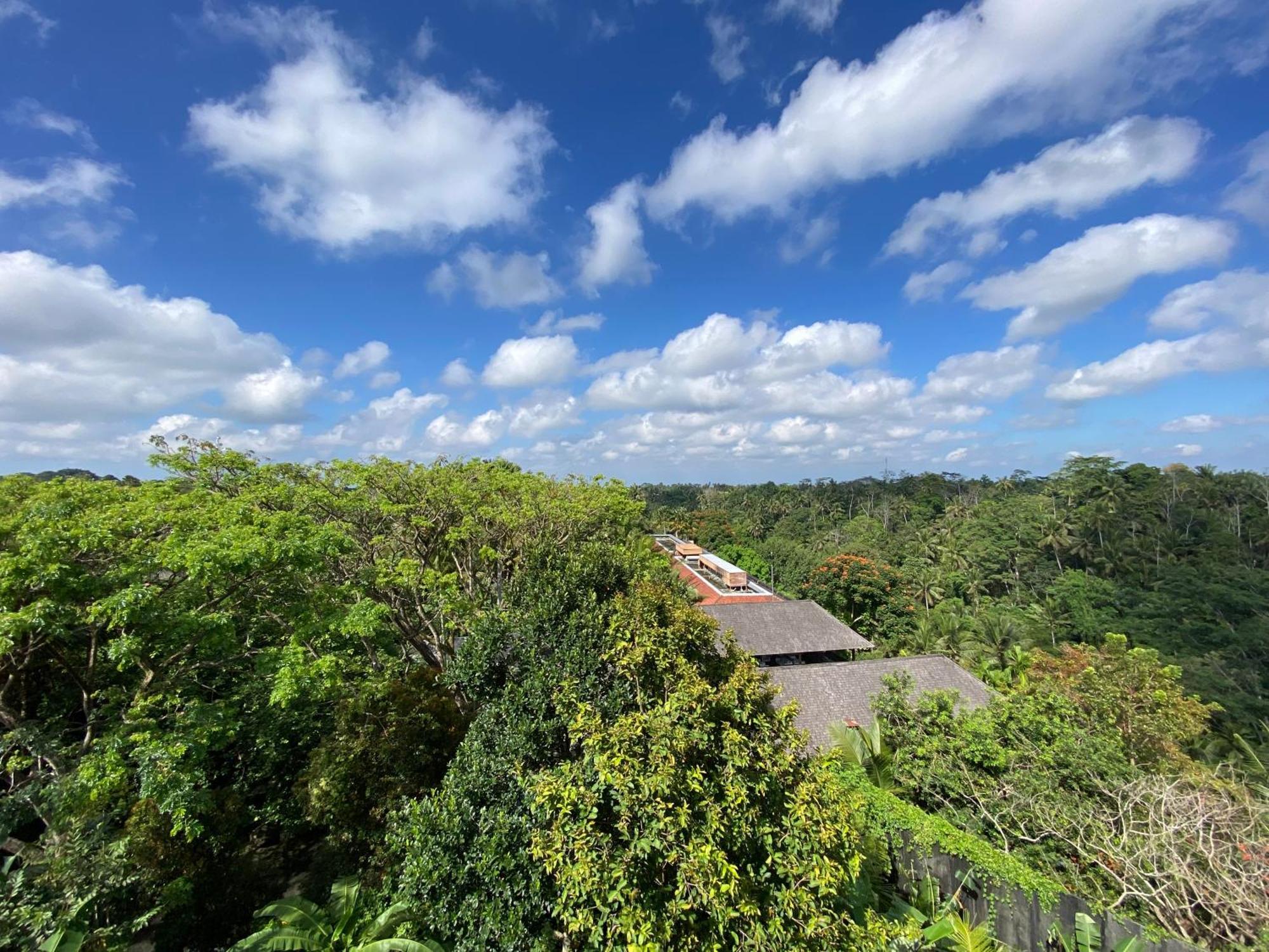 Brata Hotel Ubud (Bali)