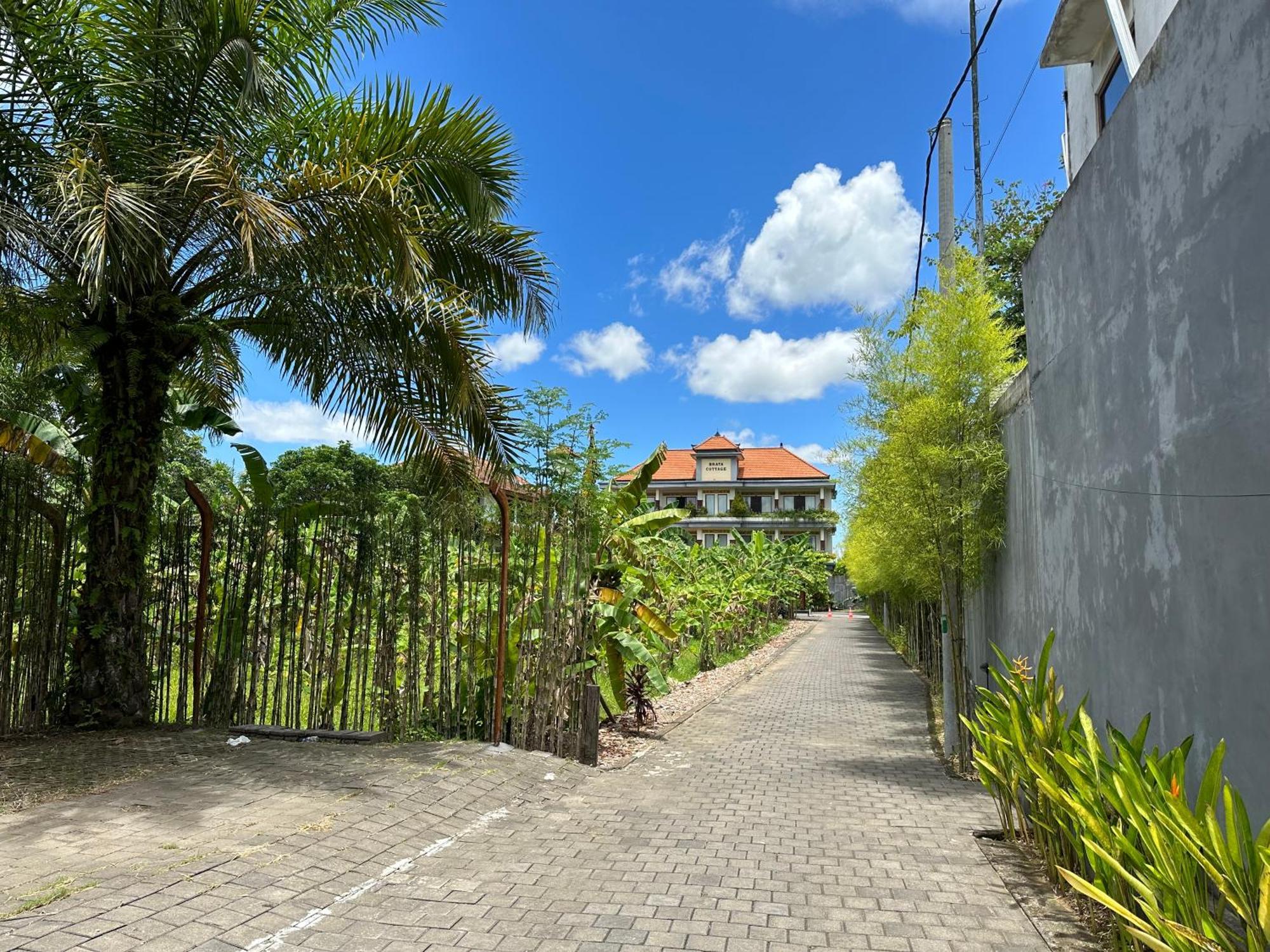Brata 2* Ubud (Bali)