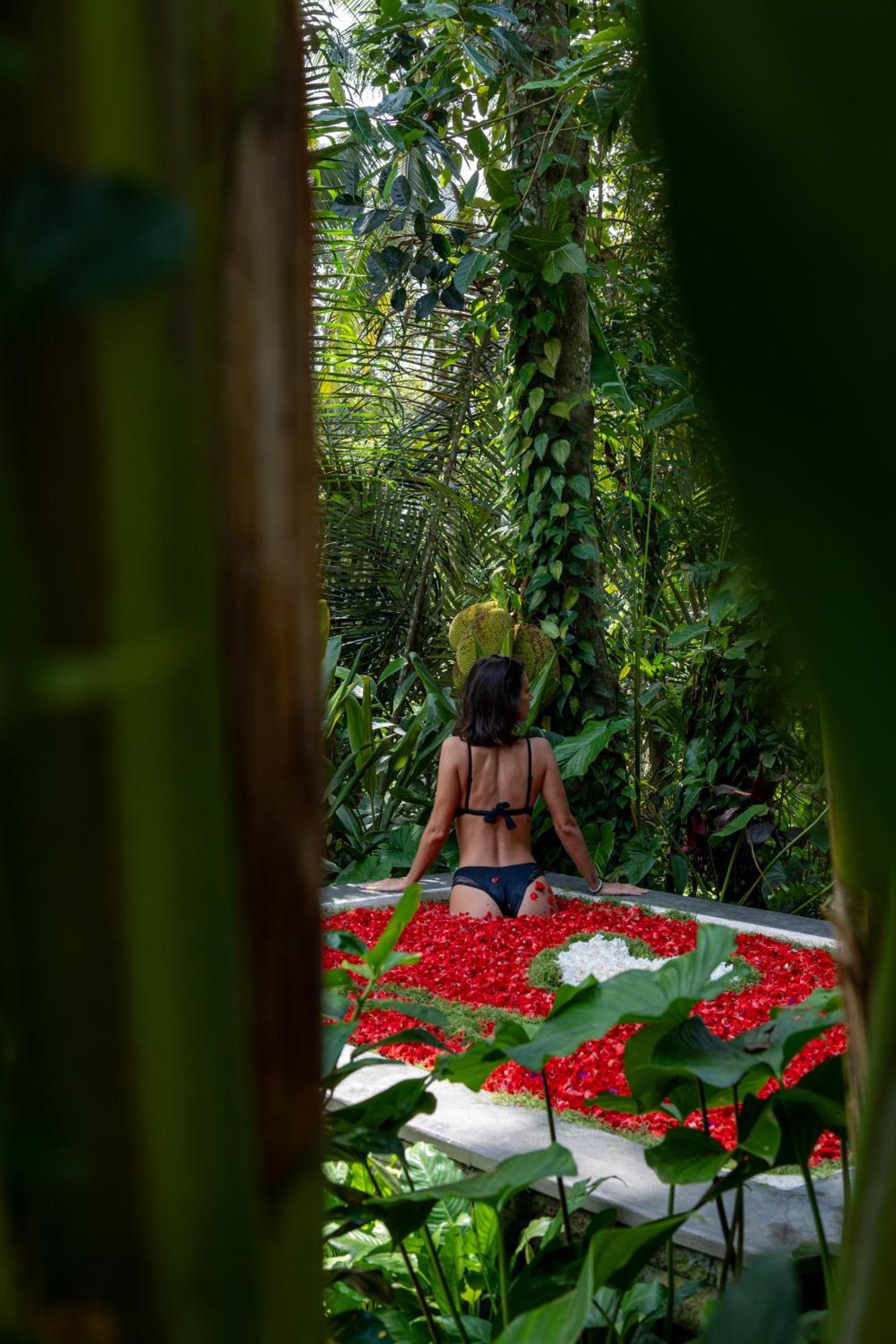 Delta Casa Ubud-jungle With Volcano View