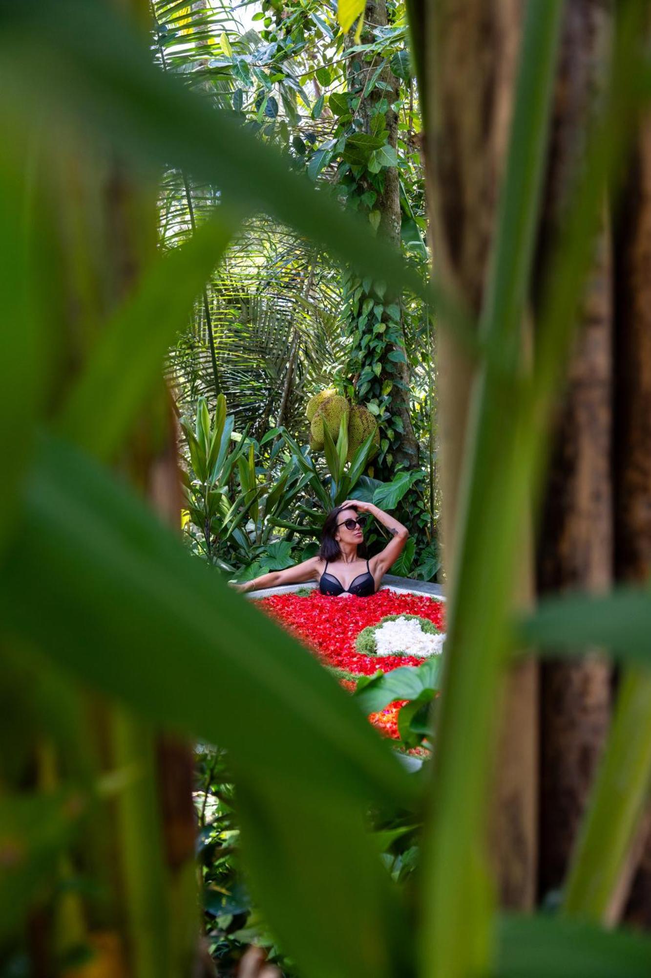 Delta Casa Ubud-jungle With Volcano View Villa *