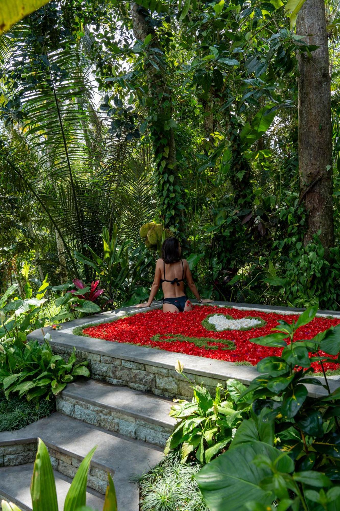 Delta Casa Ubud-jungle With Volcano View Villa Gianyar (Bali)