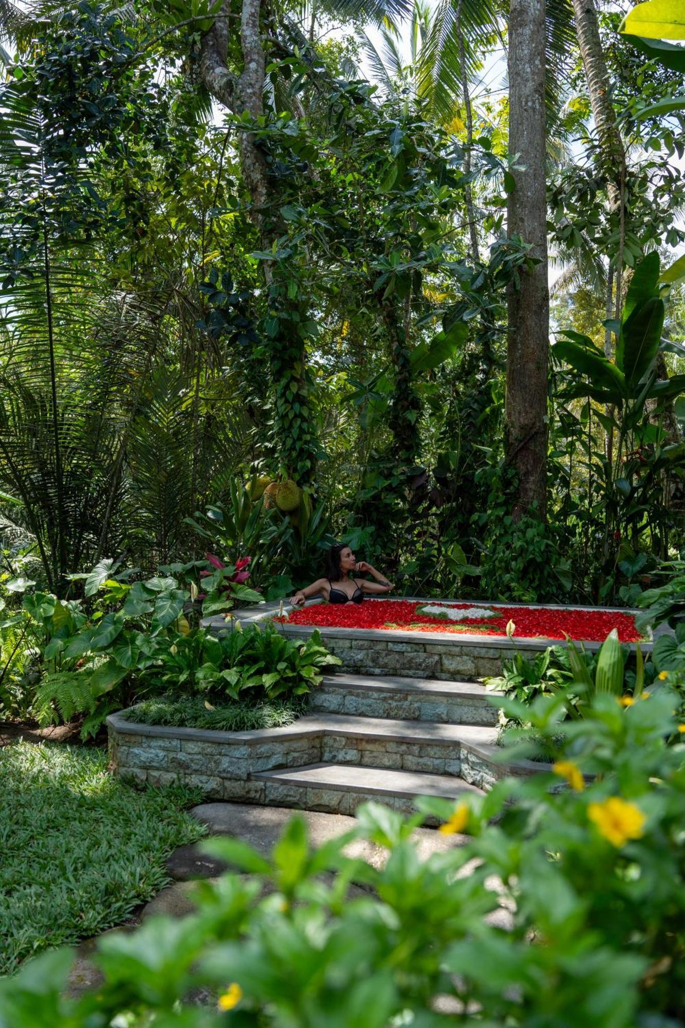 Villa Delta Casa Ubud-jungle With Volcano View Gianyar (Bali)