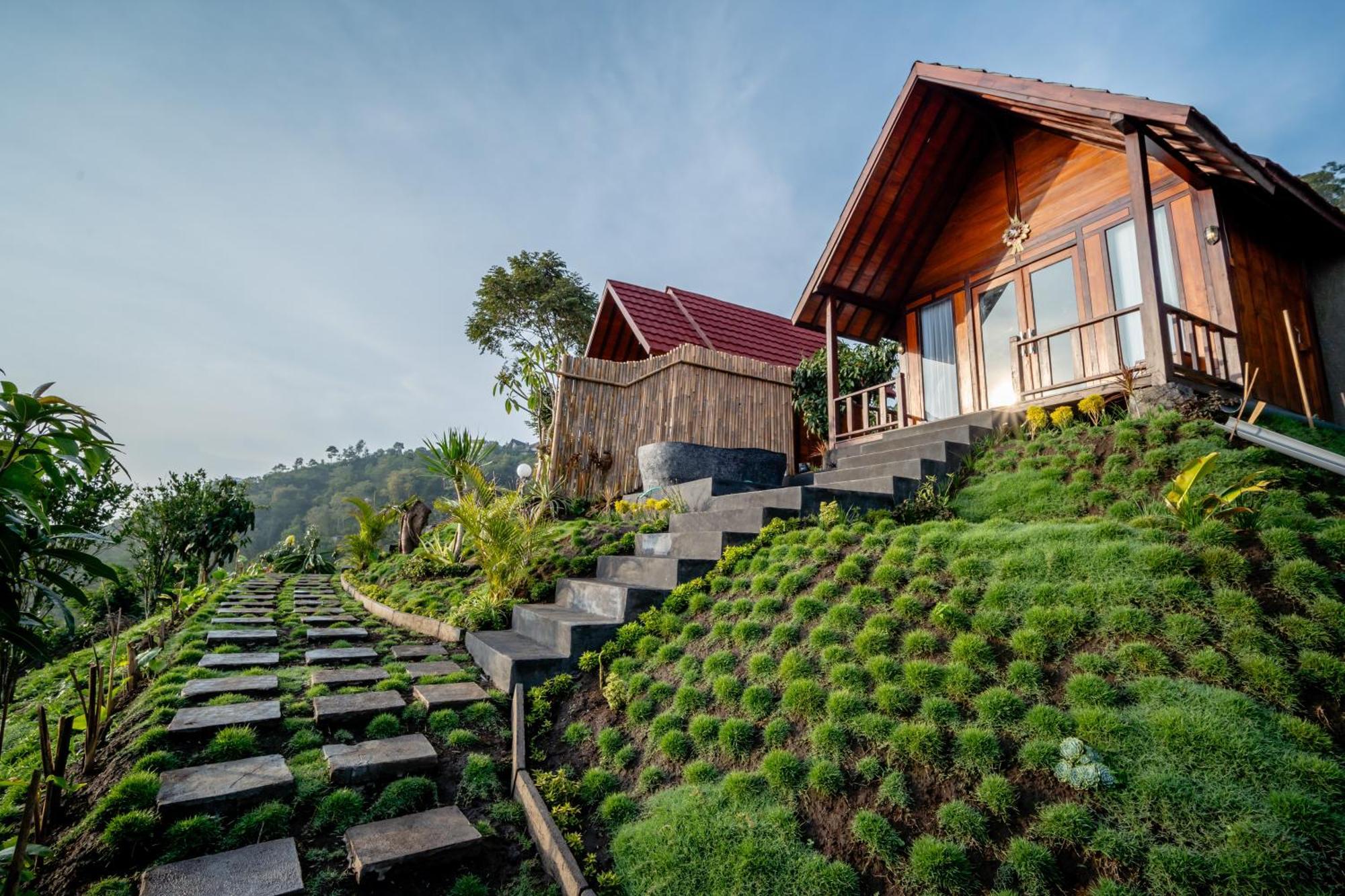 Hotel Devana 3*