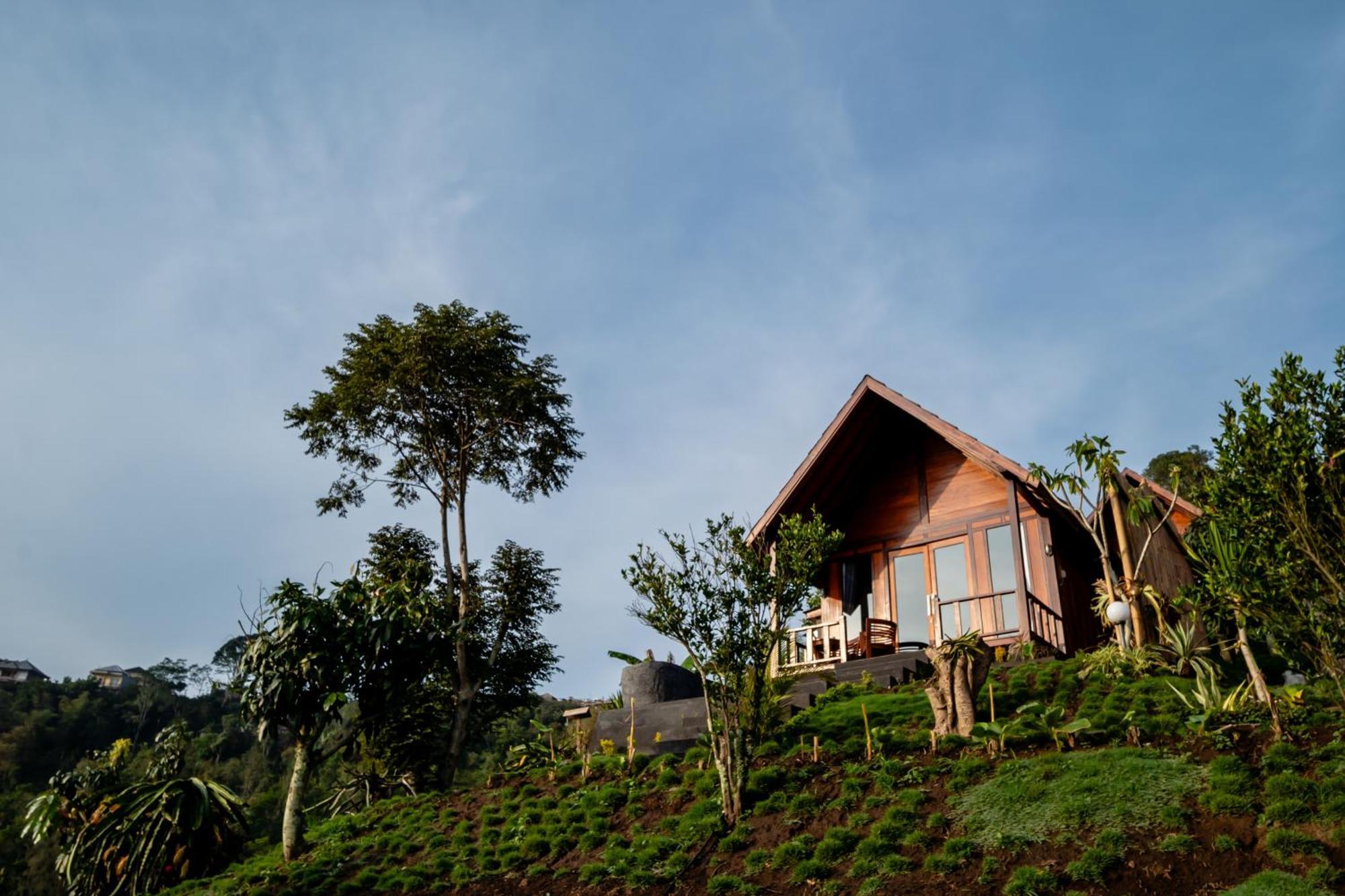 Hotel Devana 3*