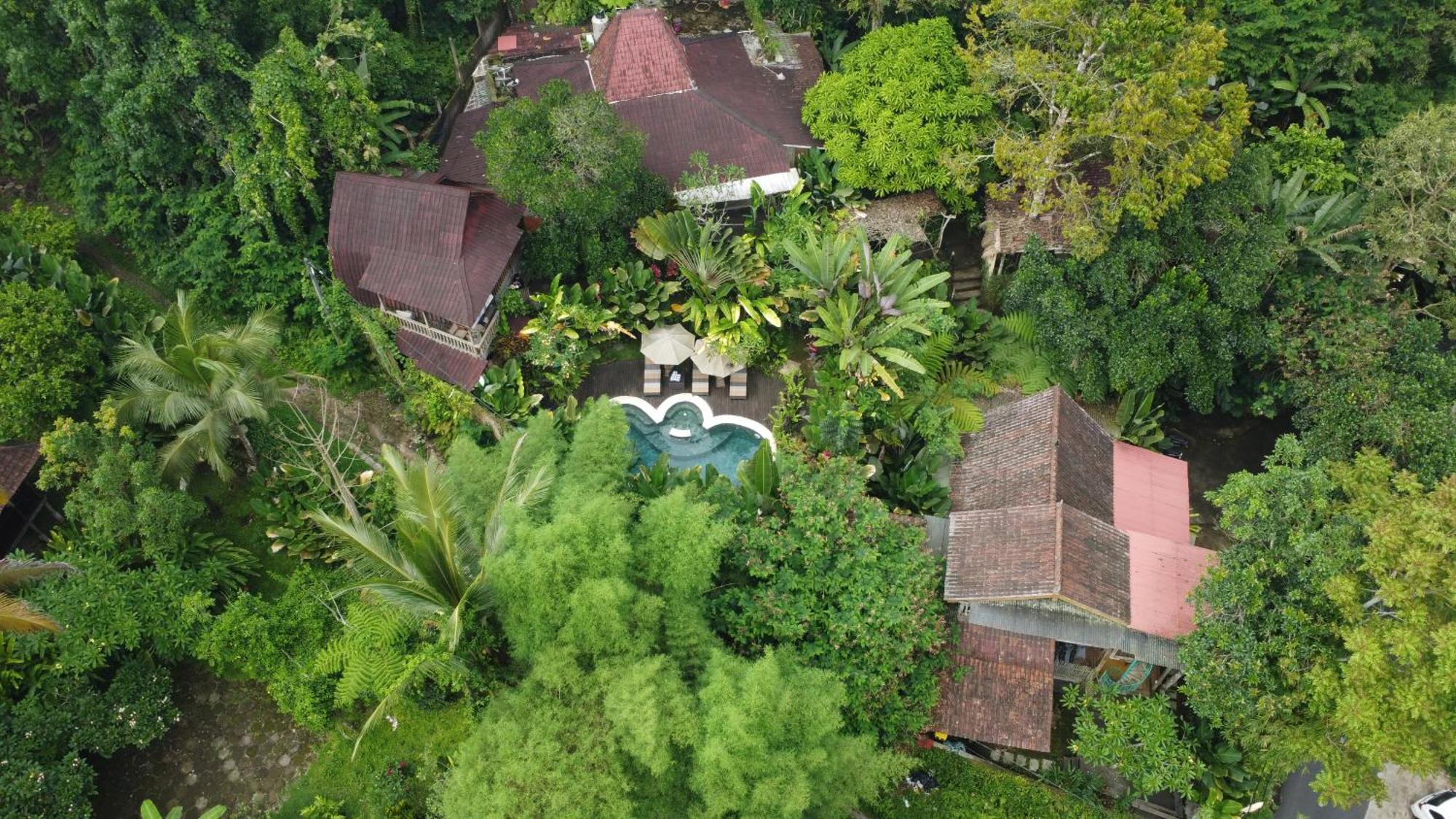 Lodge Umah Tis Sebatu
