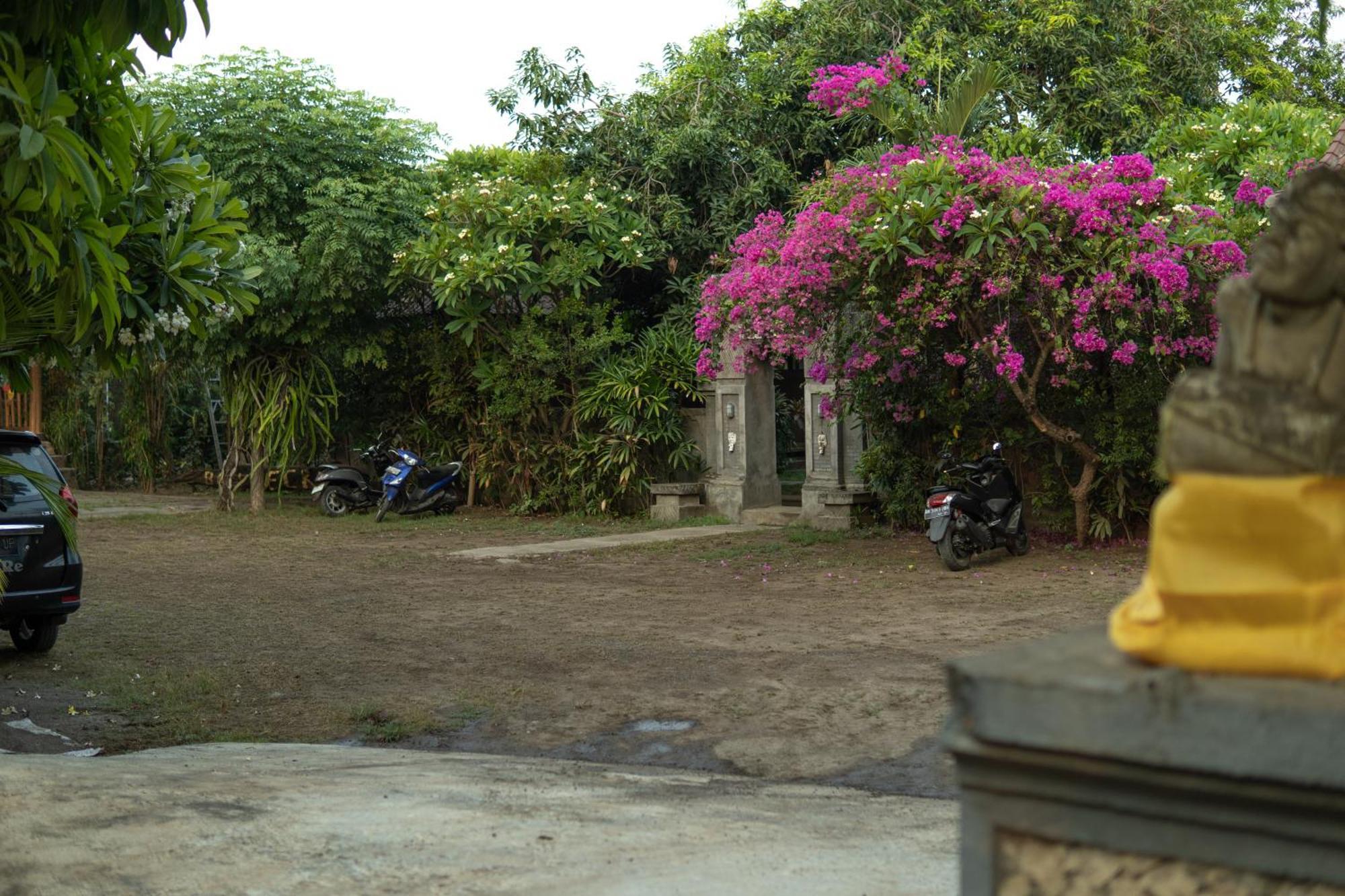 Homestay Bali Gecko *