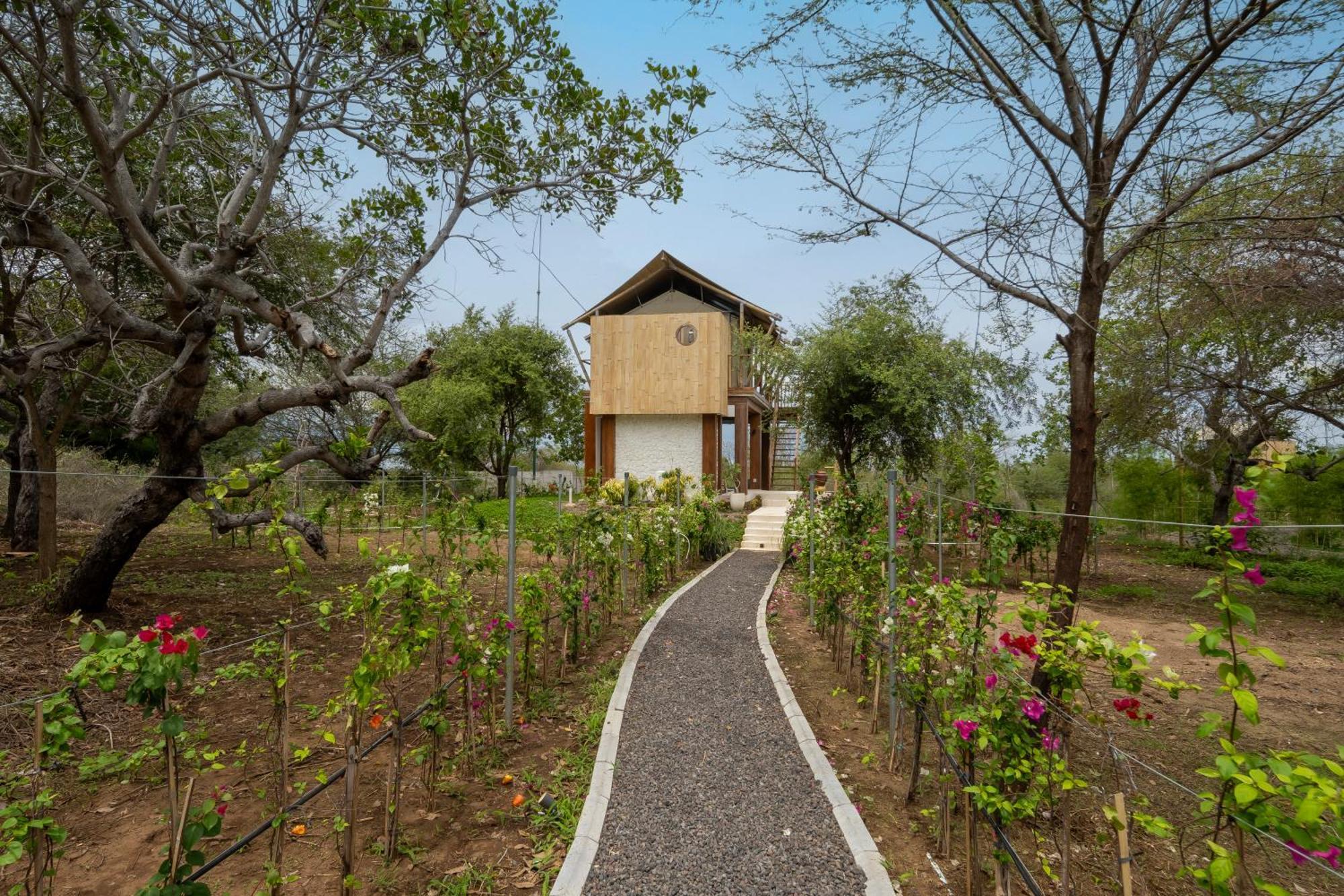 Luxury tent Menjangan Dynasty 5*