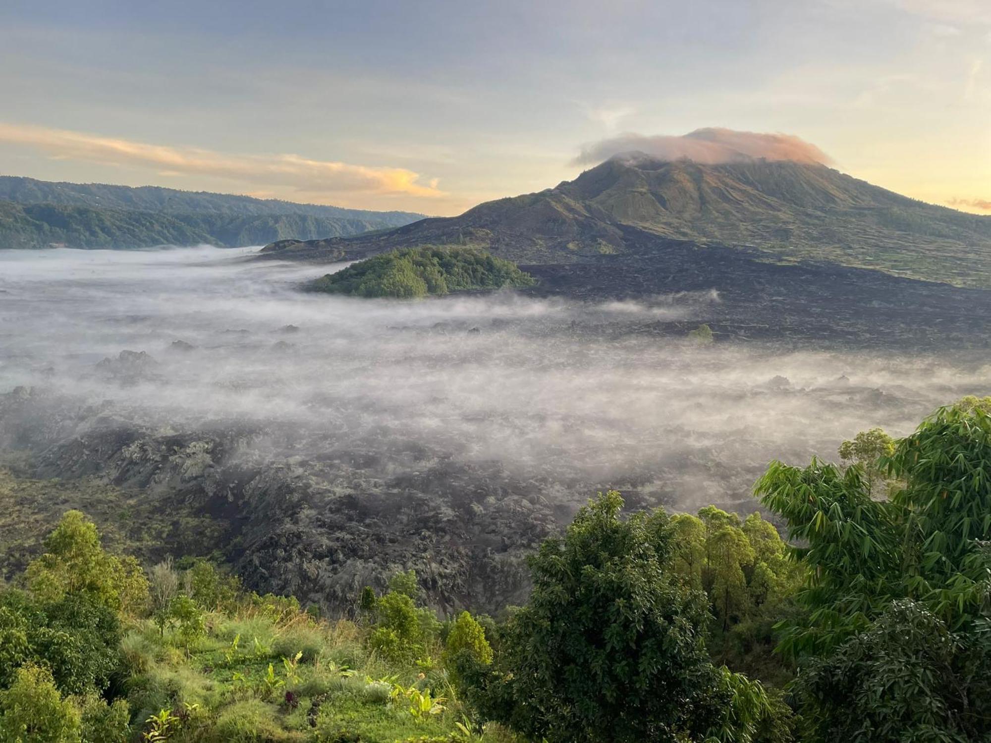 Wisma tamu Ayodya Batur