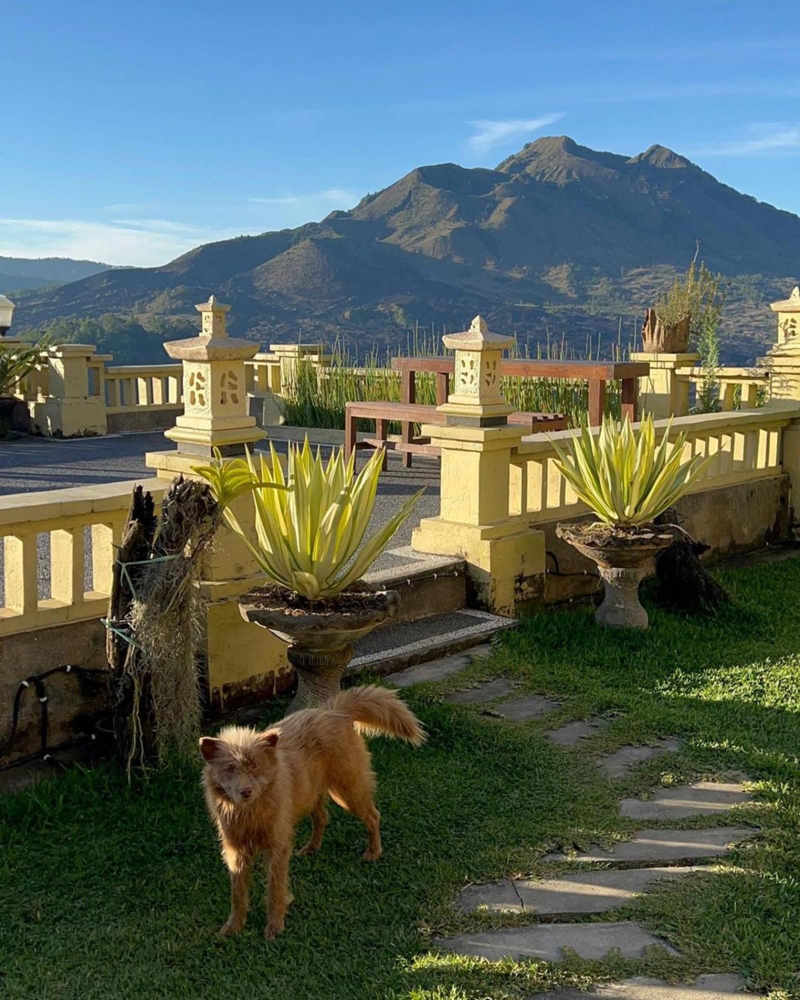 Ayodya Batur * Kintamani (Bali)