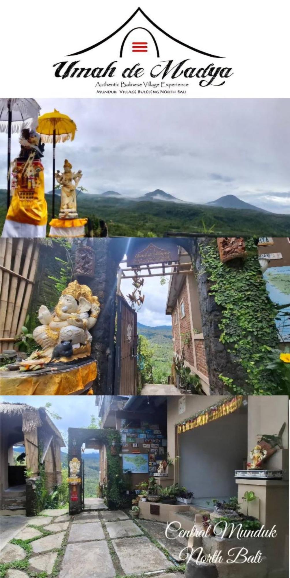 Wisma tamu Umah De Madya&rooftop De Madya Munduk (Bali)