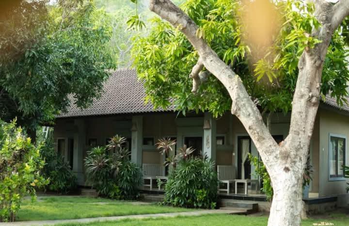 Bali Gecko Homestay *