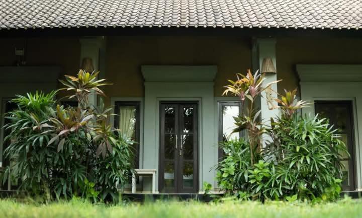 Bali Gecko Pemuteran (Bali)