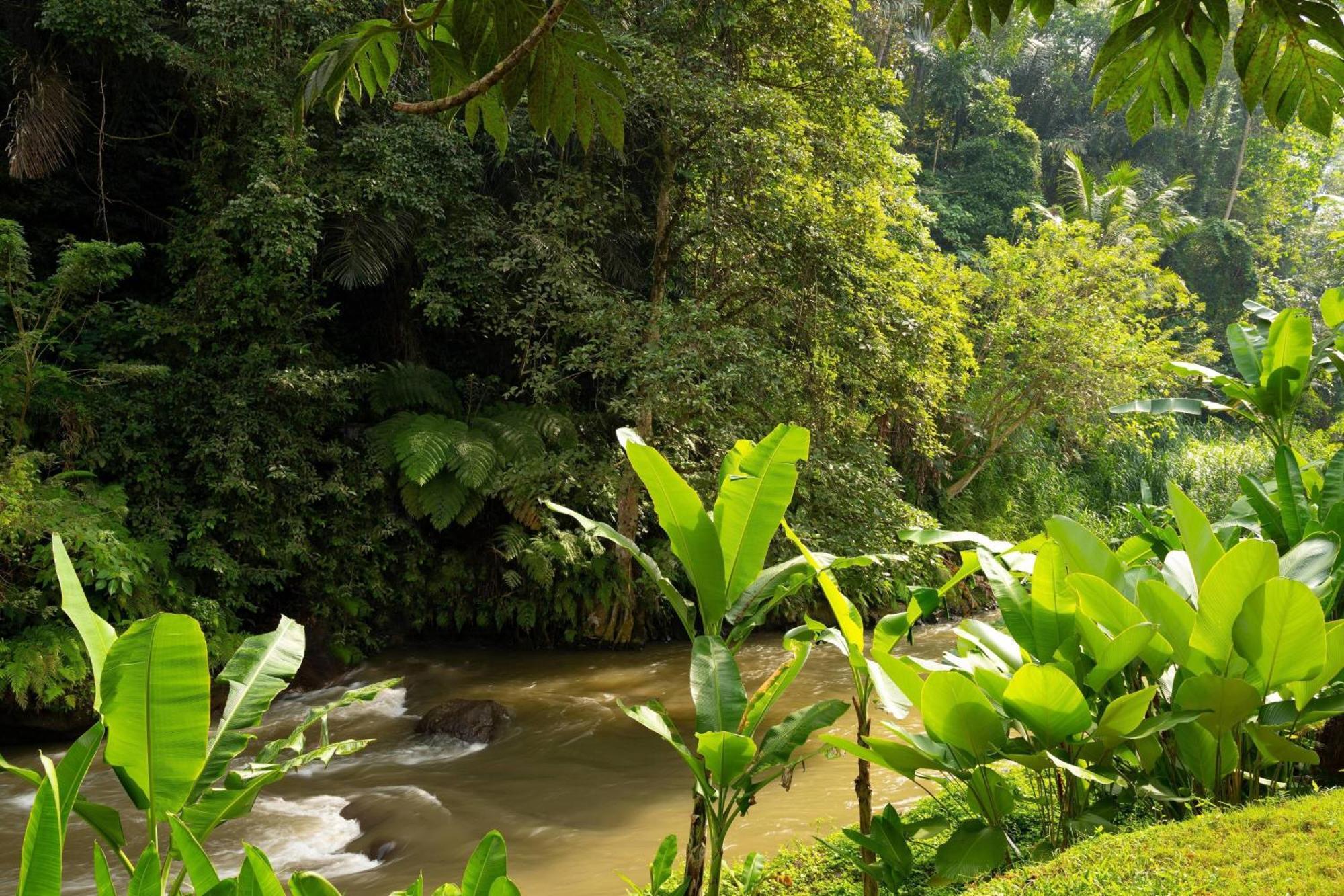Mandapa, A Ritz-carlton Reserve 5* Ubud (Bali)