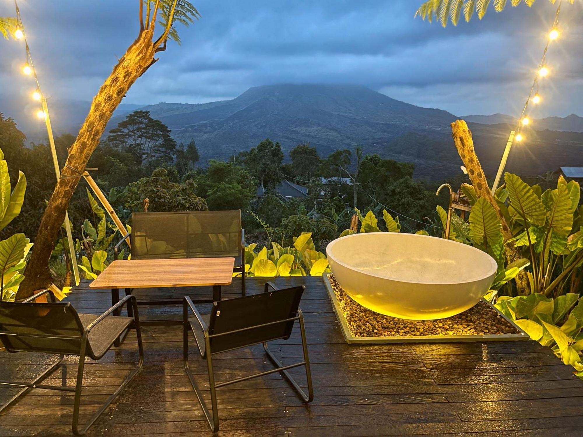 Hotel Black Wood 3*