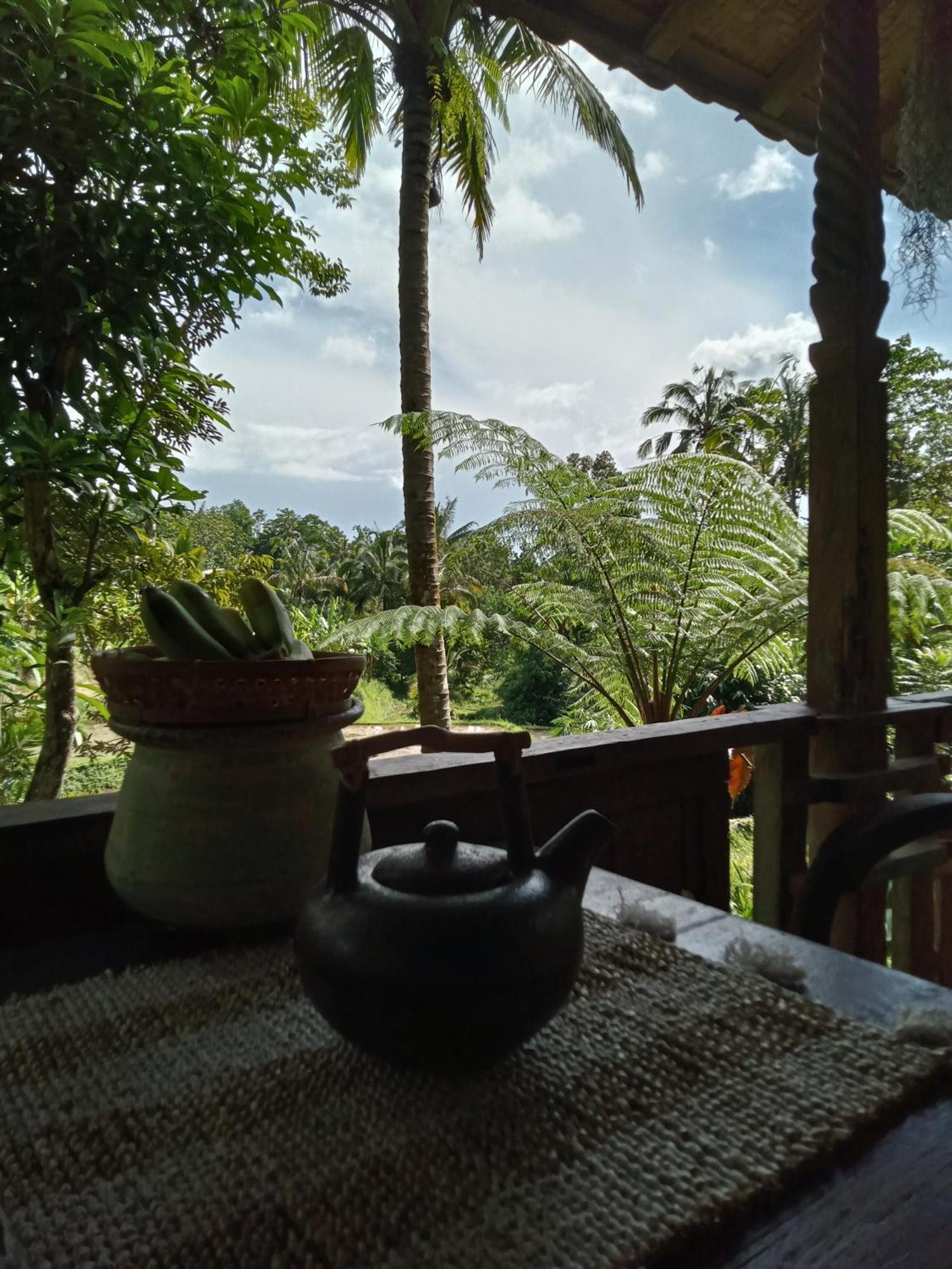 Duegoal Farm stay