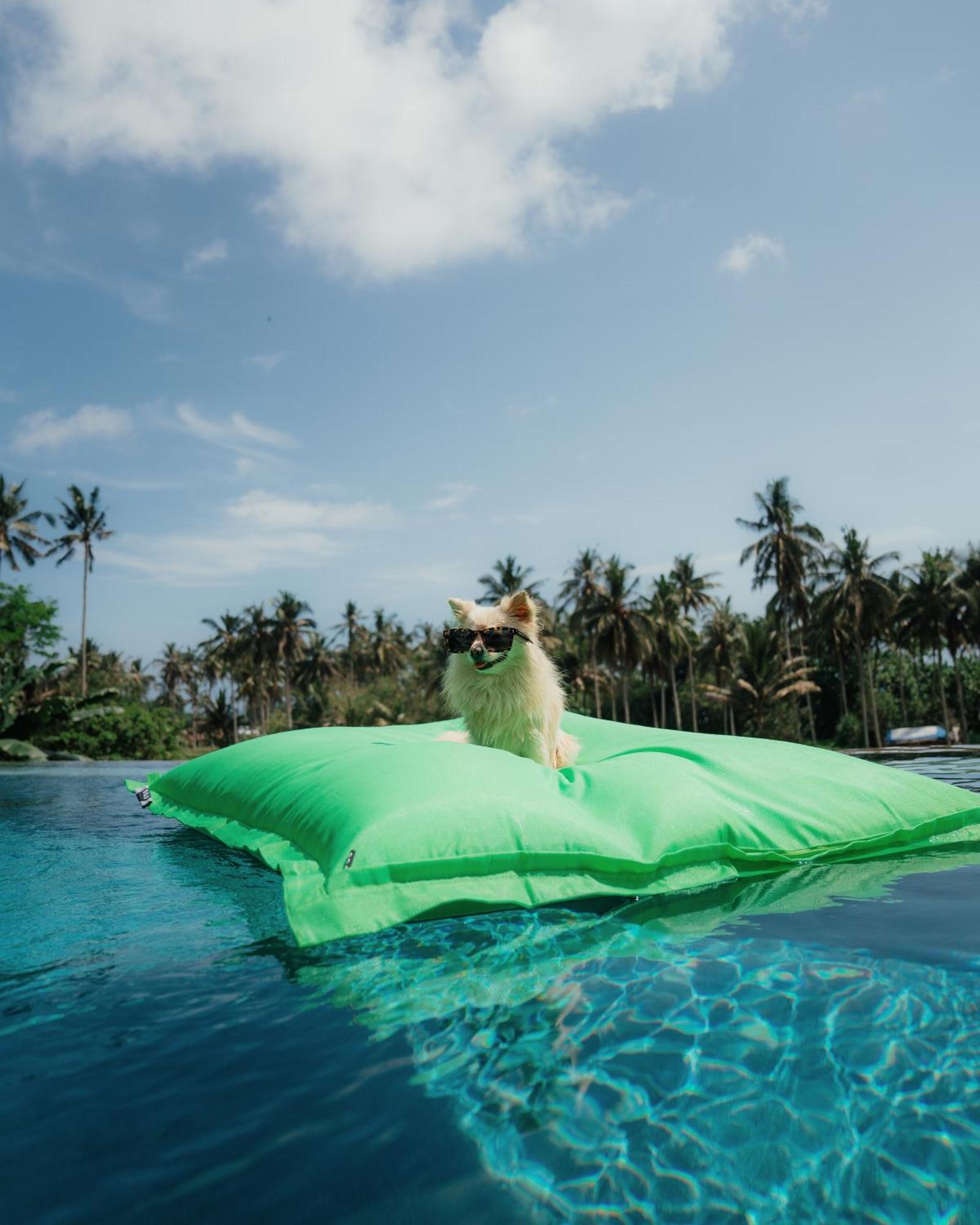 Desa Hotel Balian