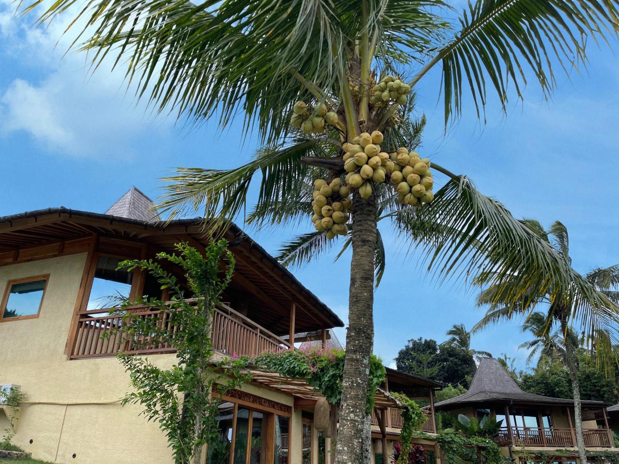 Resort Puri Dajuma Terrace Eco & 4*