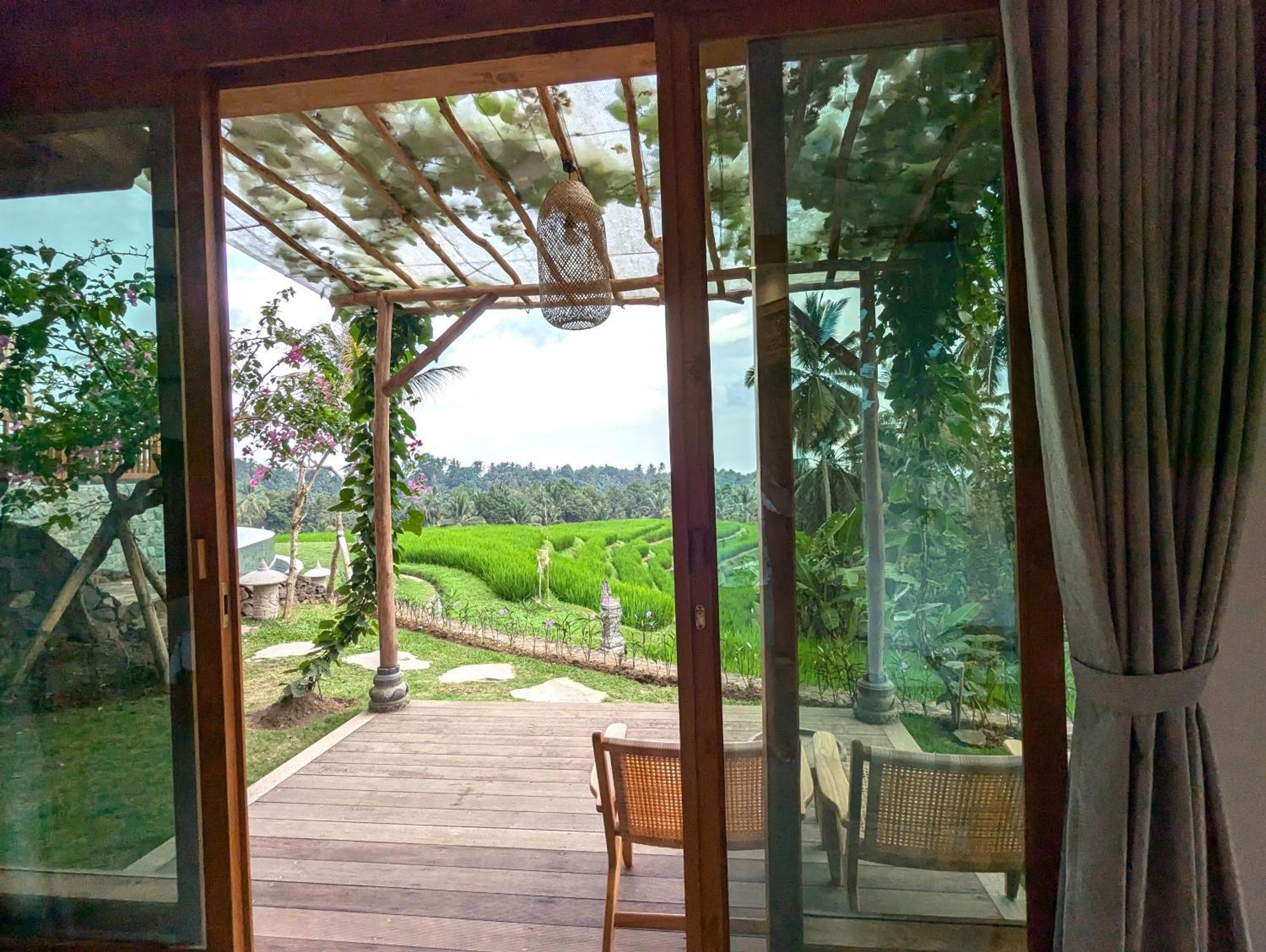 Puri Dajuma Terrace Eco & Resort Selemadeg (Bali)