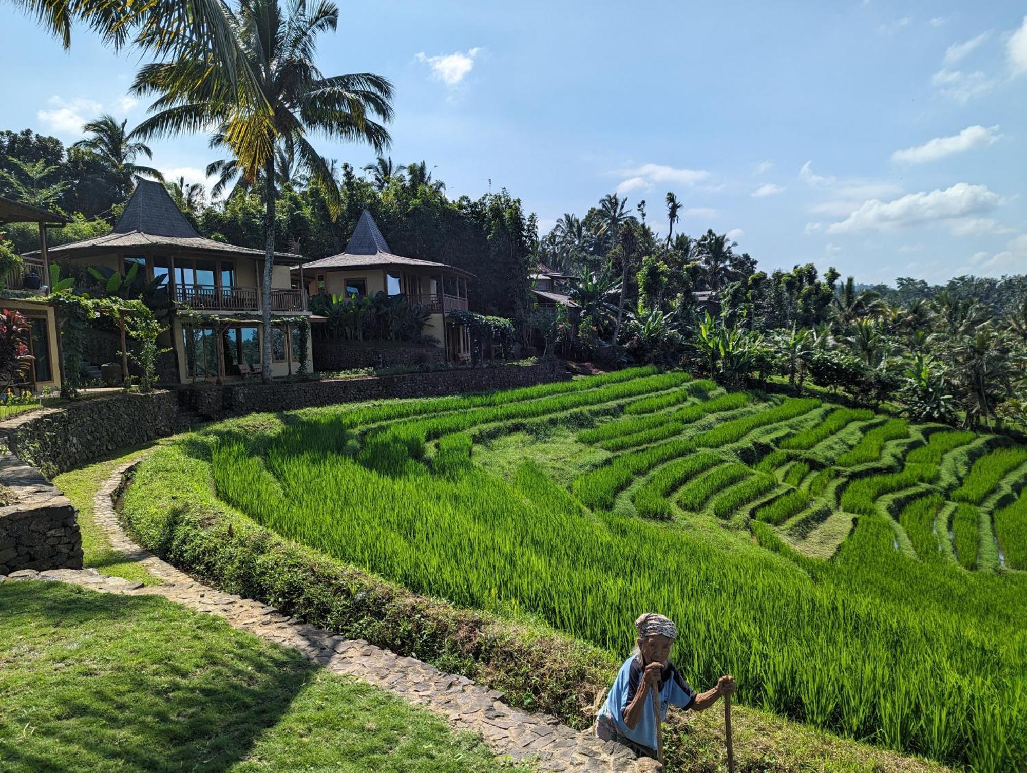 Puri Dajuma Terrace Eco & 4* Selemadeg (Bali)