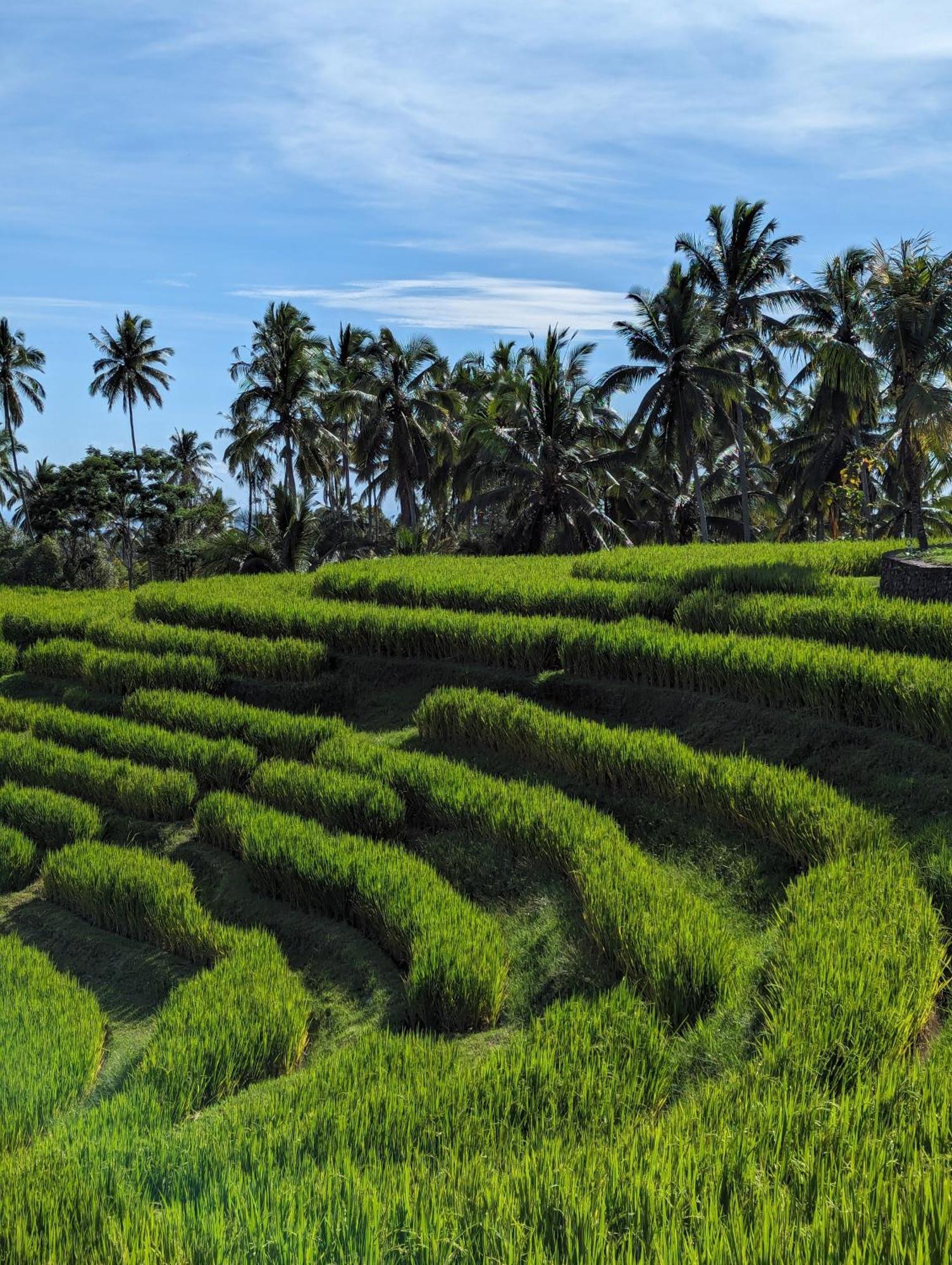 Puri Dajuma Terrace Eco & 4*