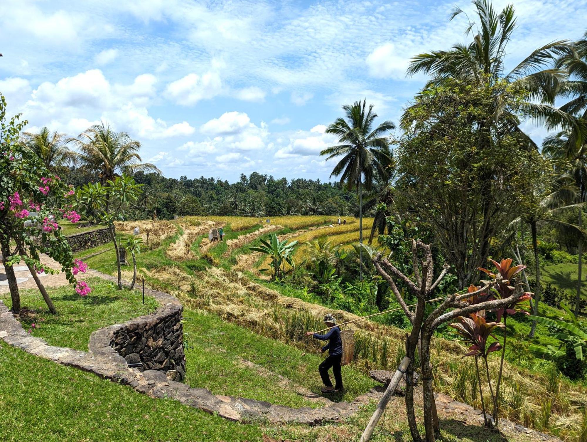 Puri Dajuma Terrace Eco & 4*