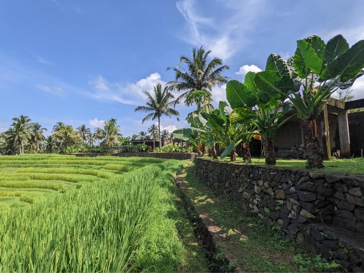 Puri Dajuma Terrace Eco & 4*