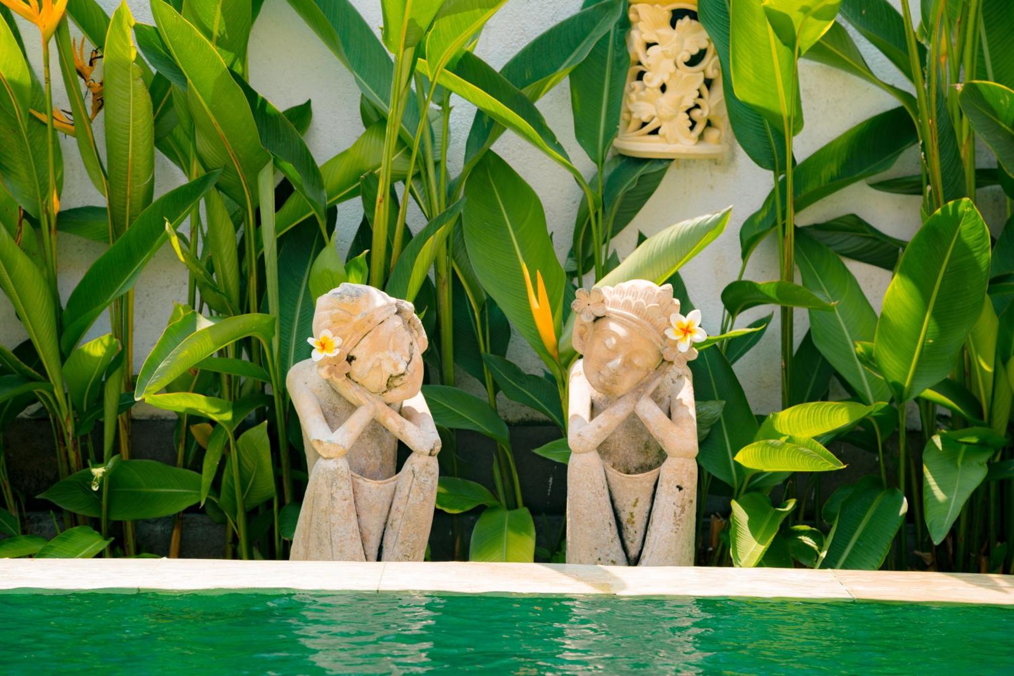 Seruni * Lovina (Bali)