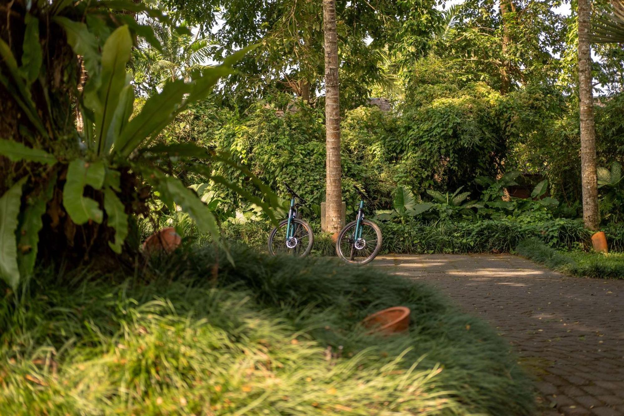 Alila Ubud Resort