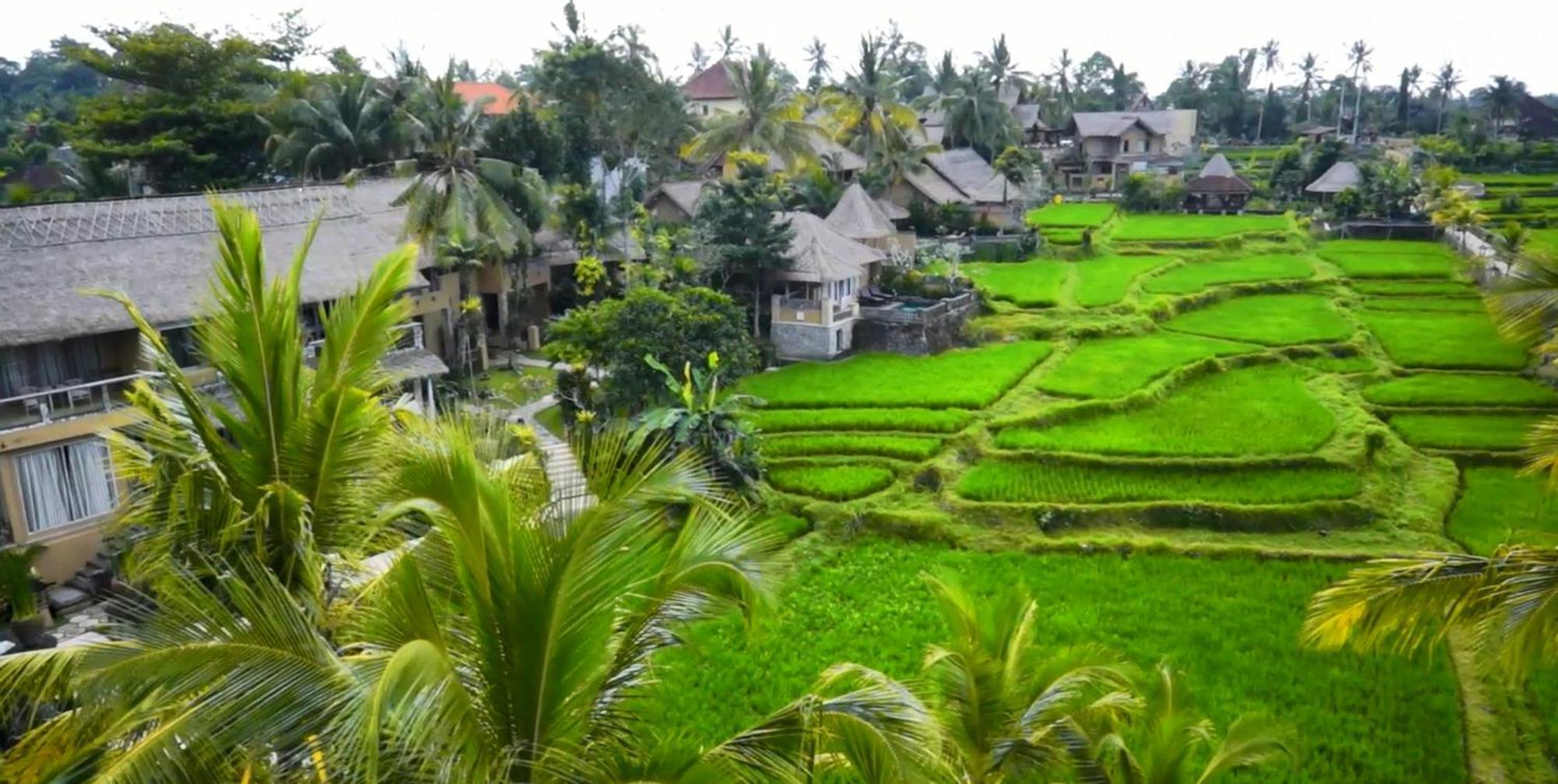 Resor Wapa Di Ume - Chse Certified Ubud (Bali)