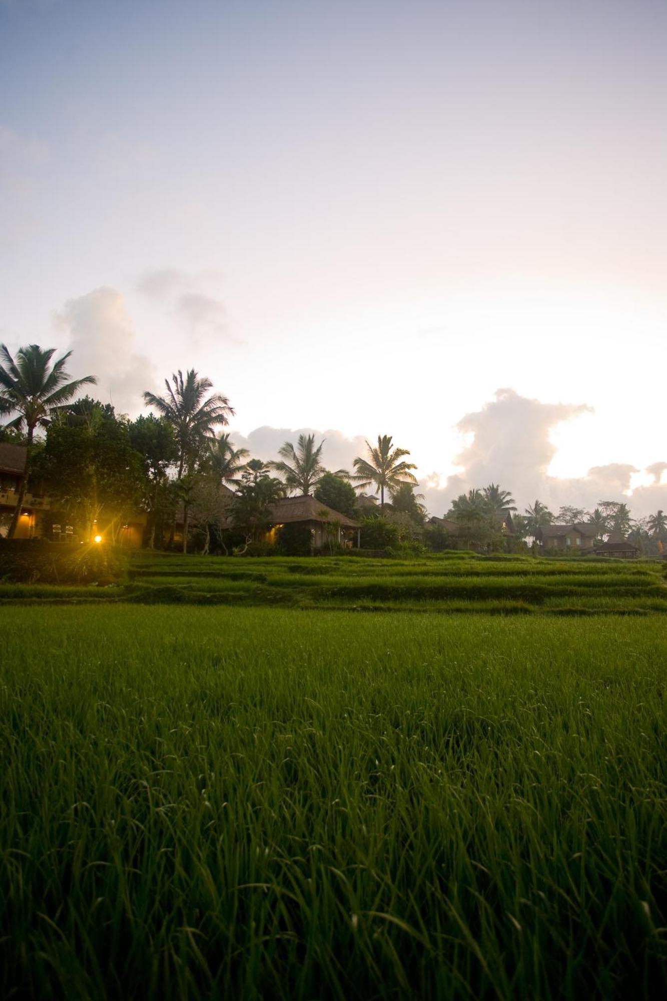 Resor Wapa Di Ume - Chse Certified 4*