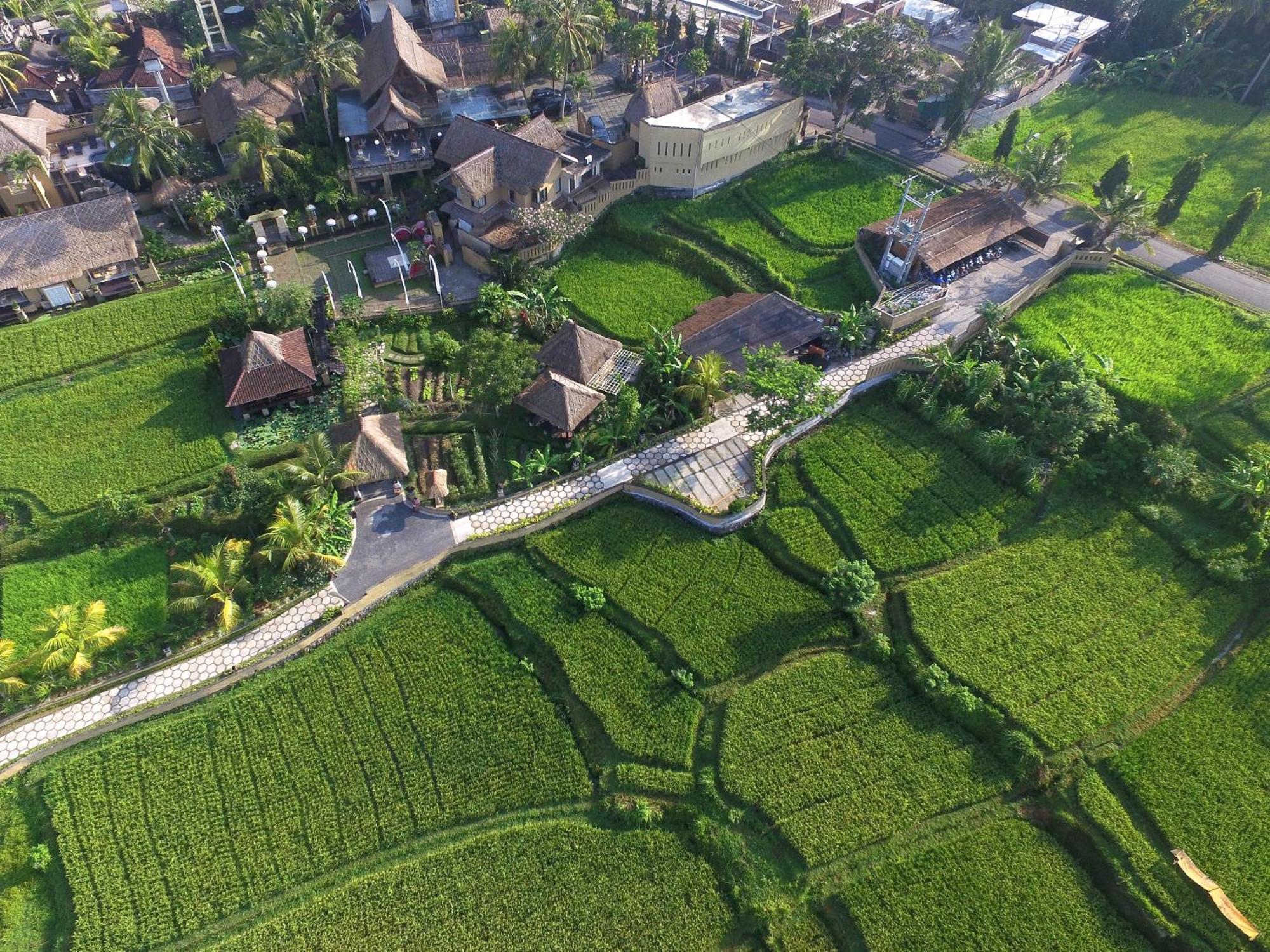 Resort Wapa Di Ume Ubud (Bali)