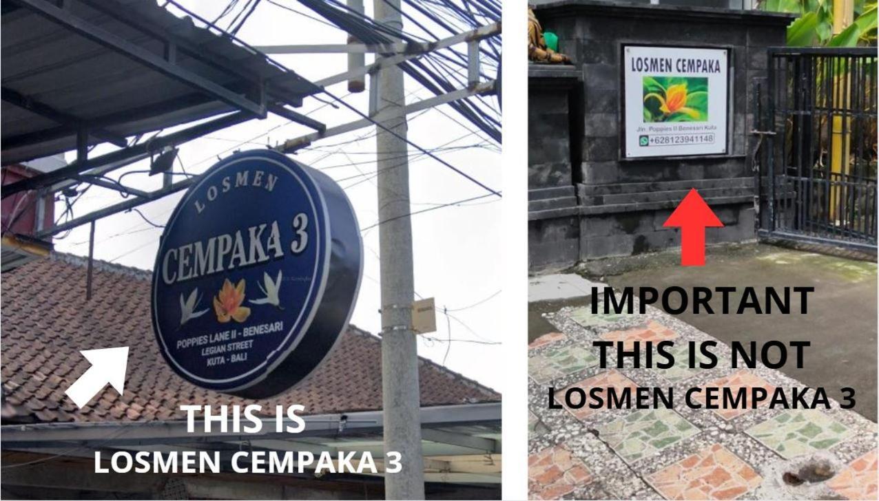Cempaka 3 Losmen Guest house