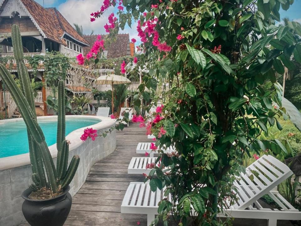 The Rice Joglo Eco-stay Guest house *